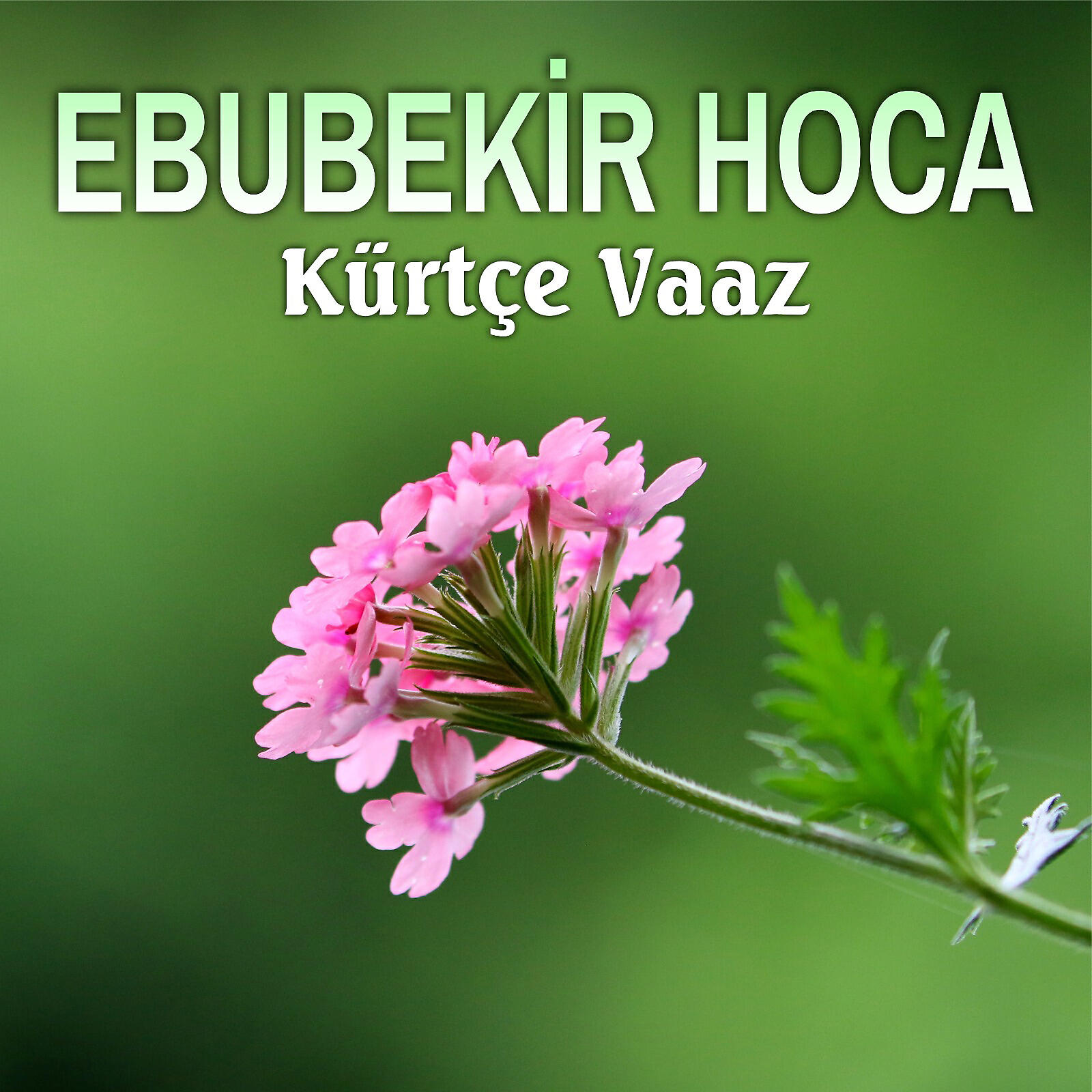 Релиз Kürtçe Vaaz