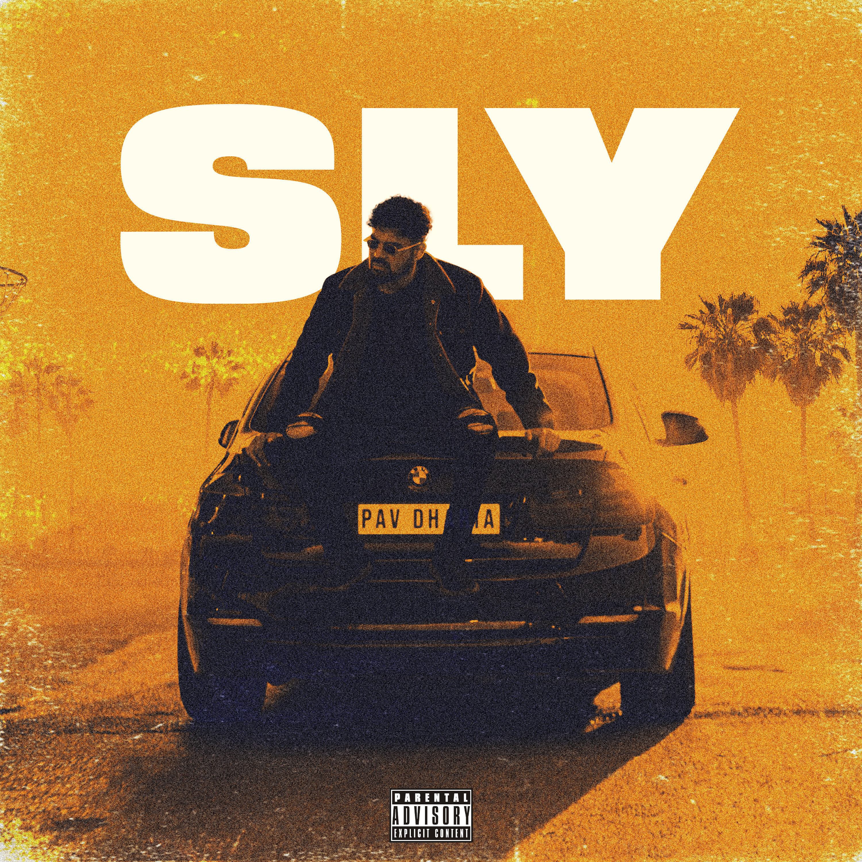 Релиз Sly