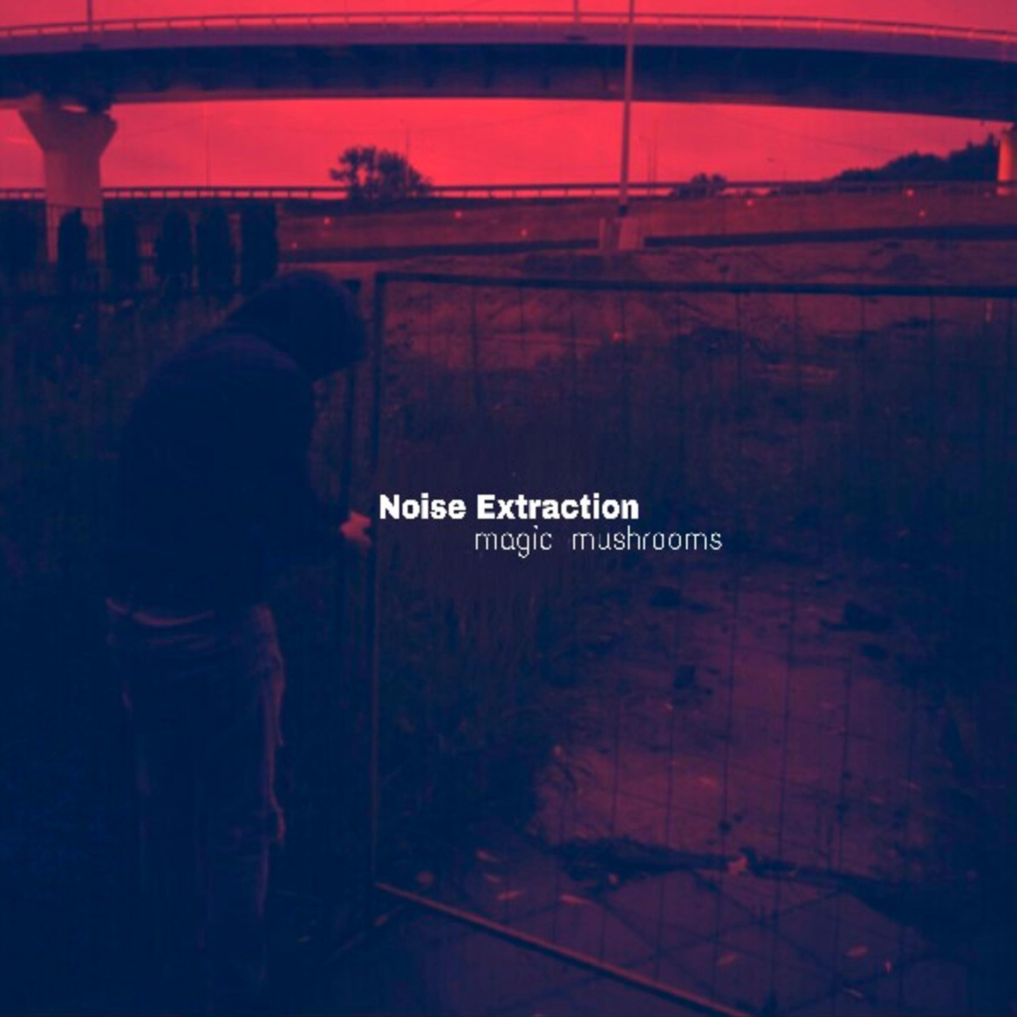 Релиз Noise Extraction