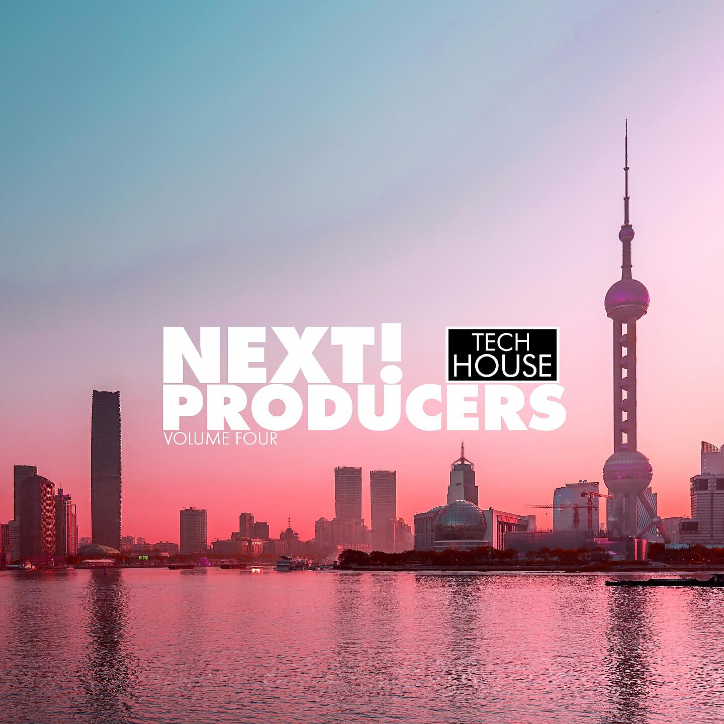 Постер альбома Next! Producers, Vol. 4