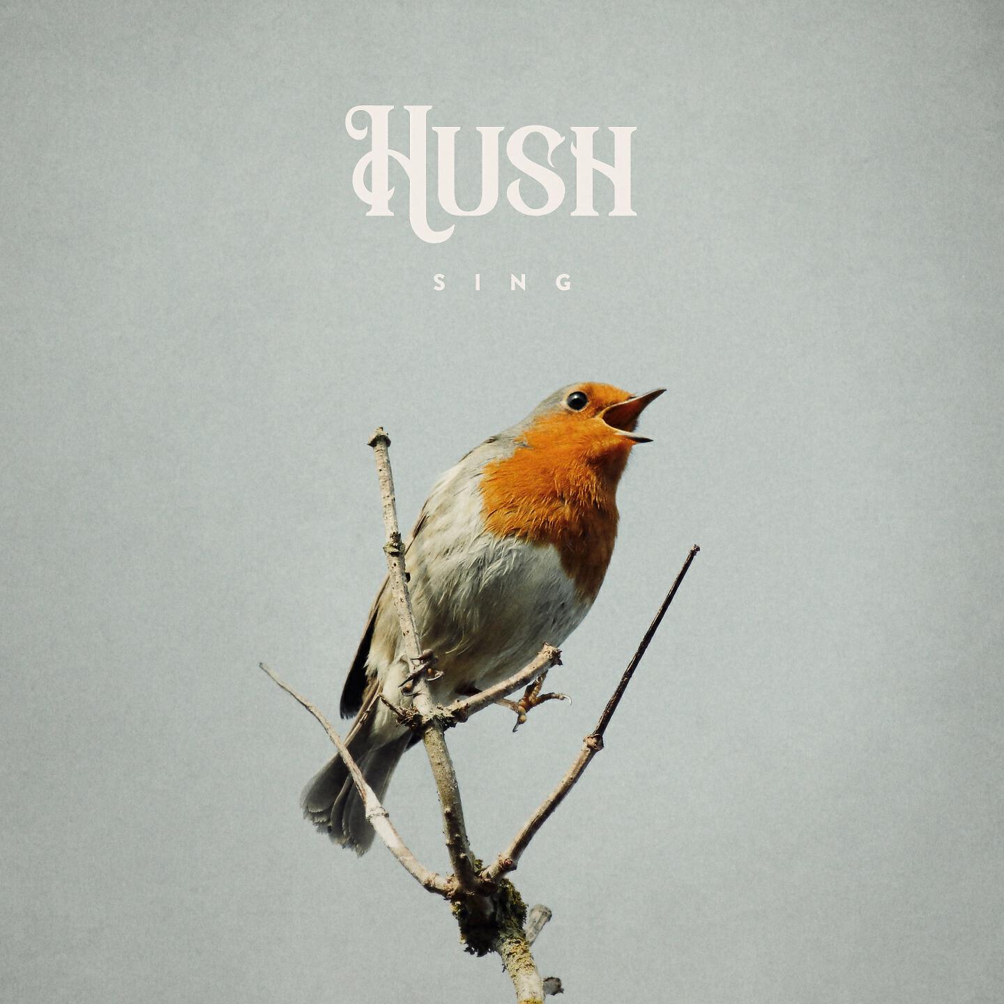 Релиз Sing