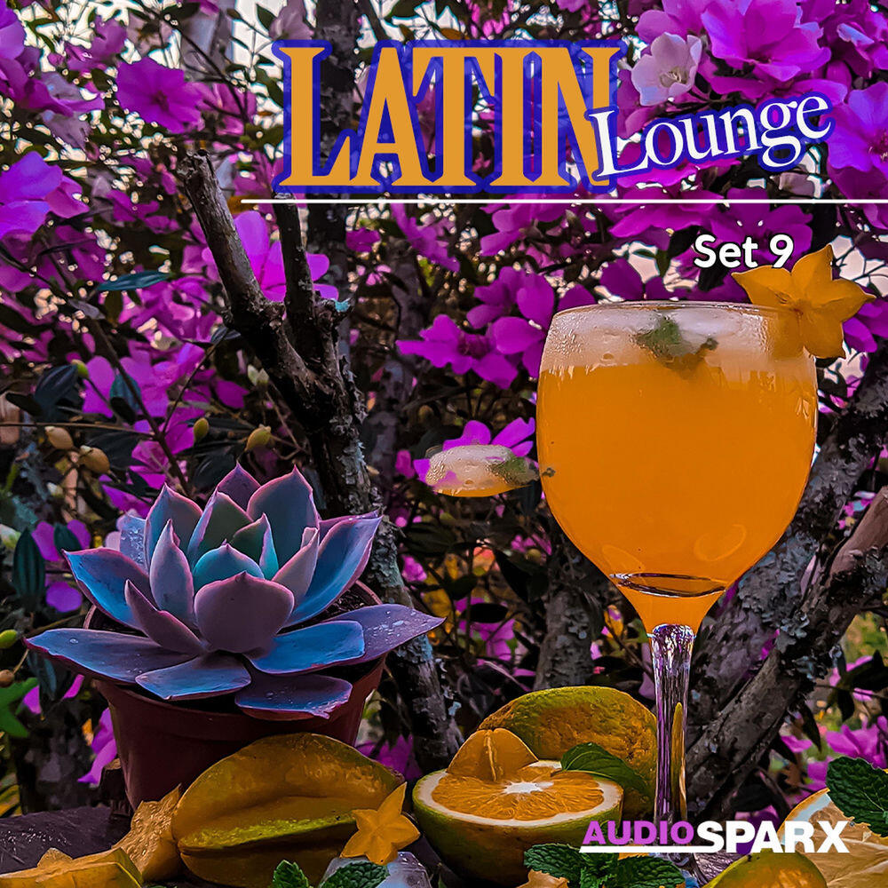 Релиз Latin Lounge, Set 9