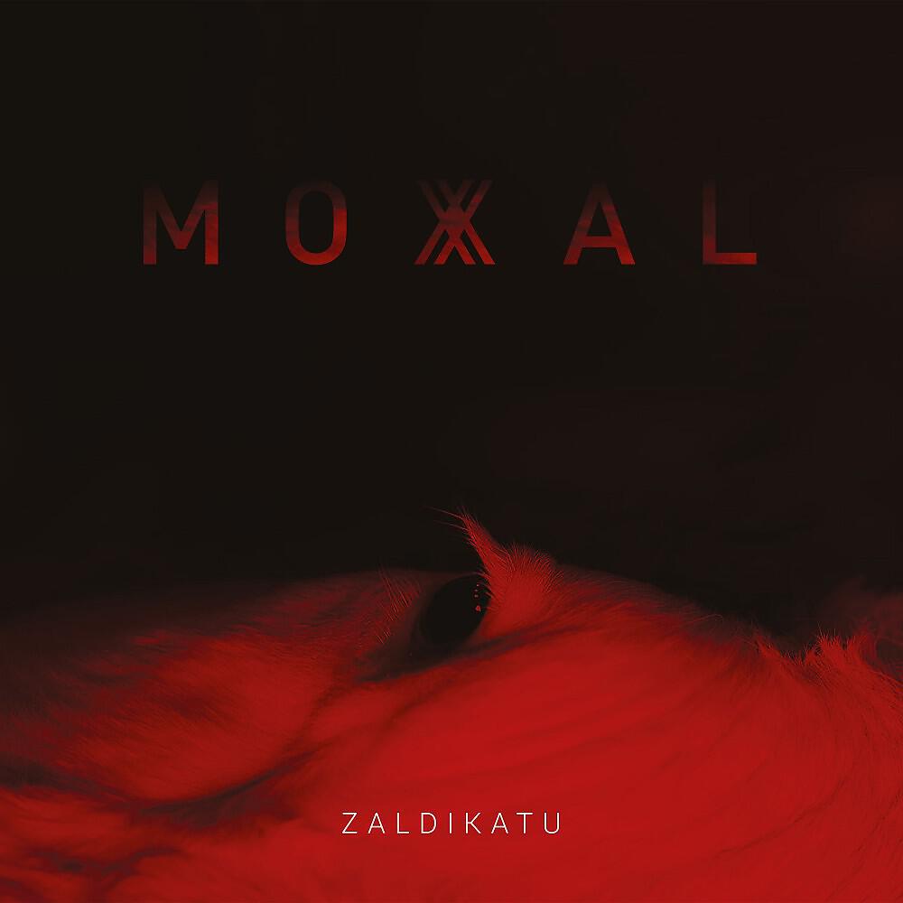 Релиз Zaldikatu