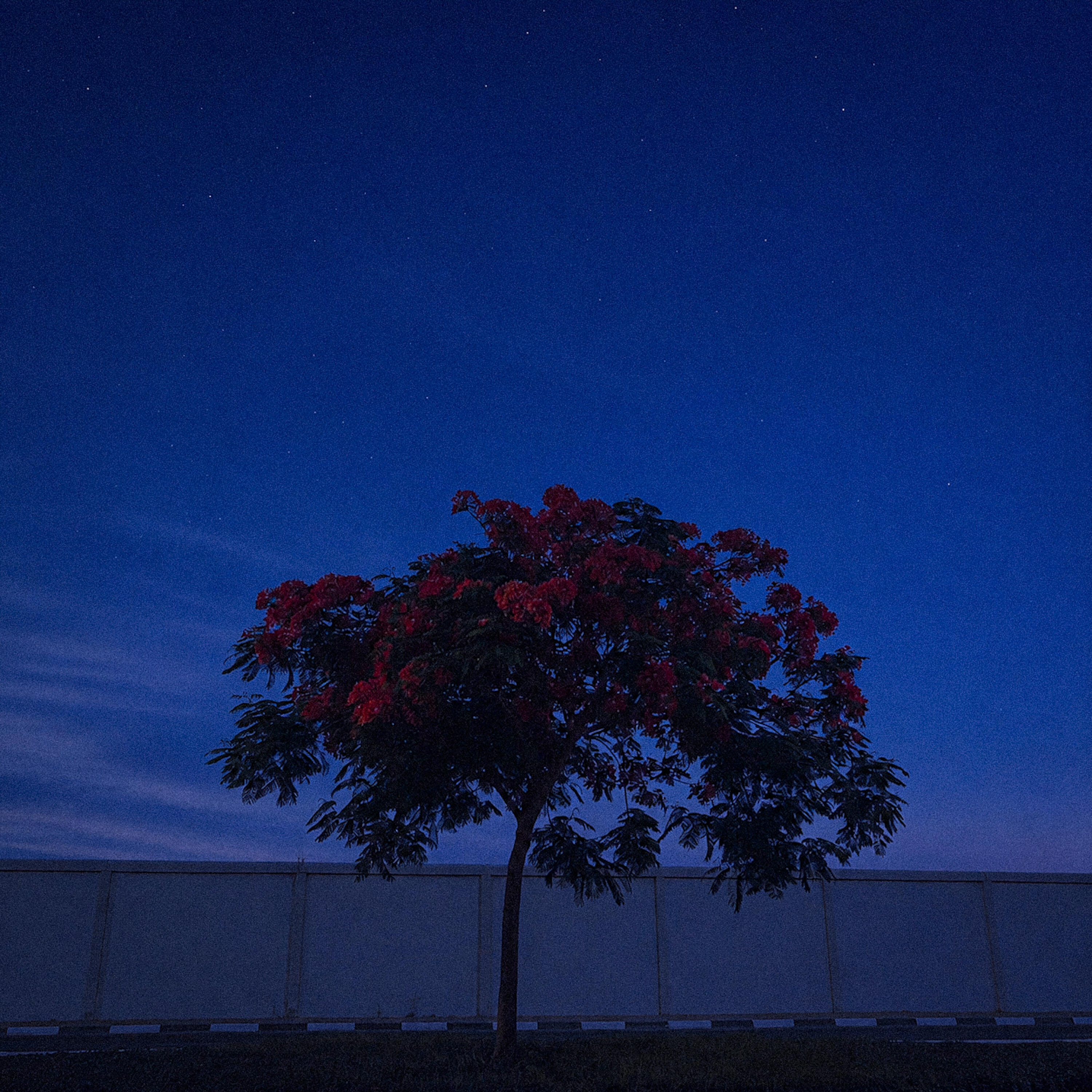 Релиз Summer Night