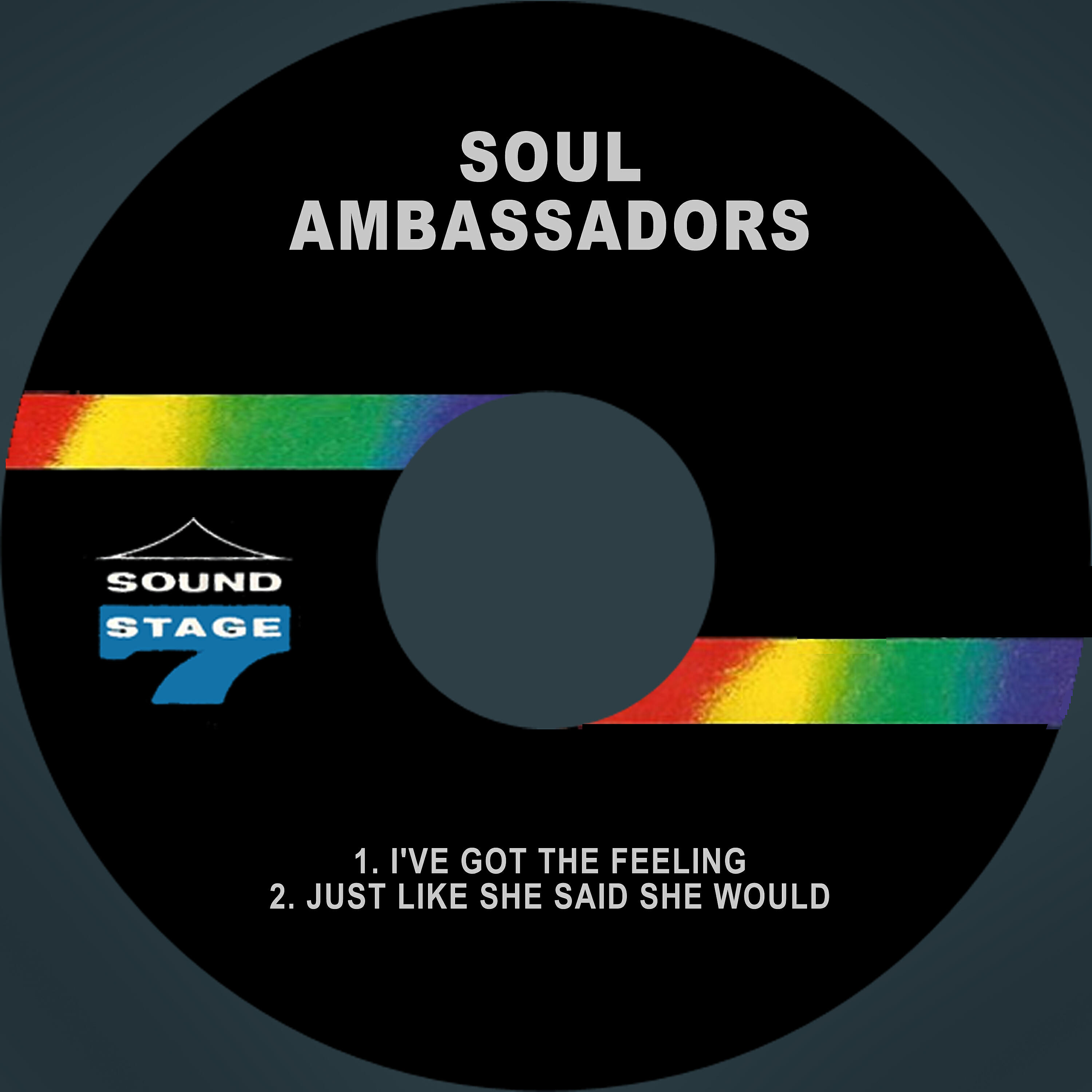 The Soul Ambassadors
