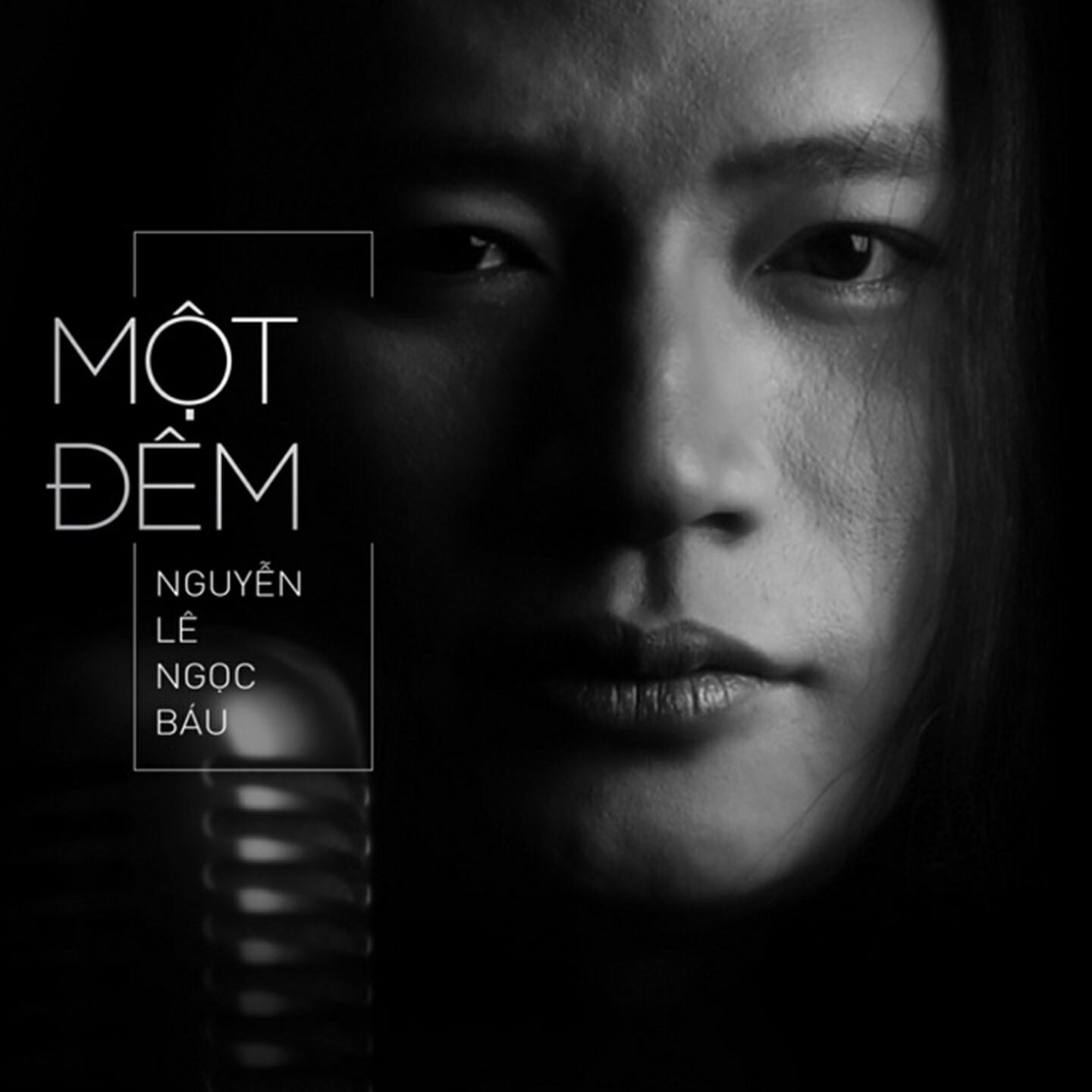 Постер альбома Một Đêm