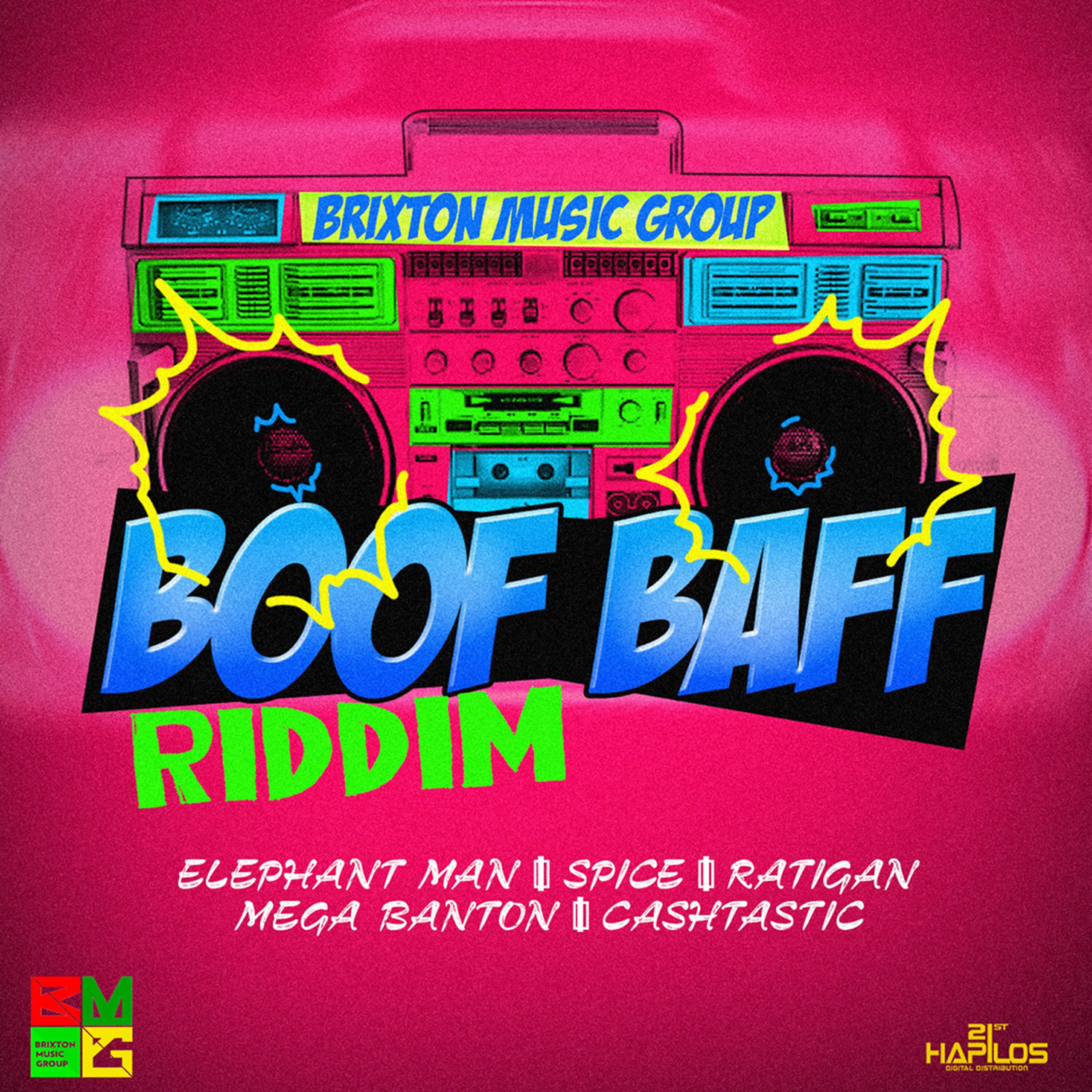 Релиз Boof Baff Riddim