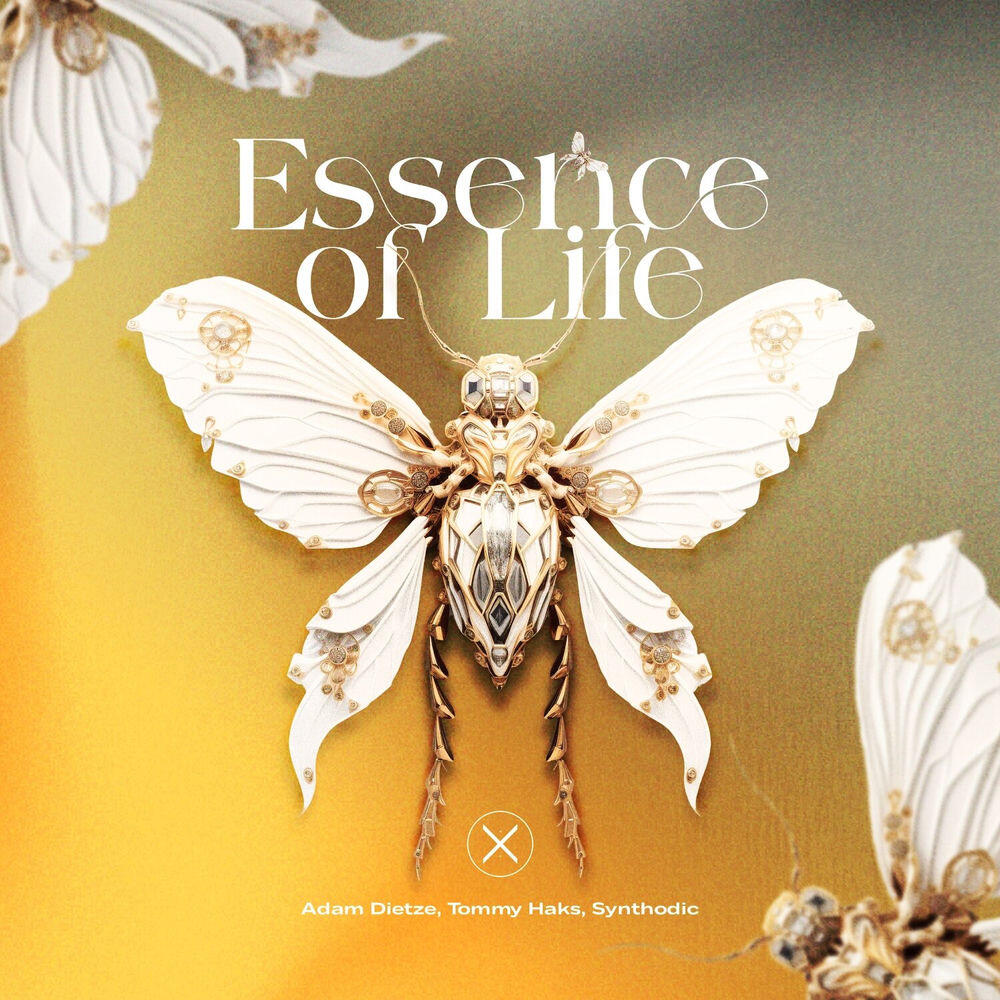 Релиз Essence of Life