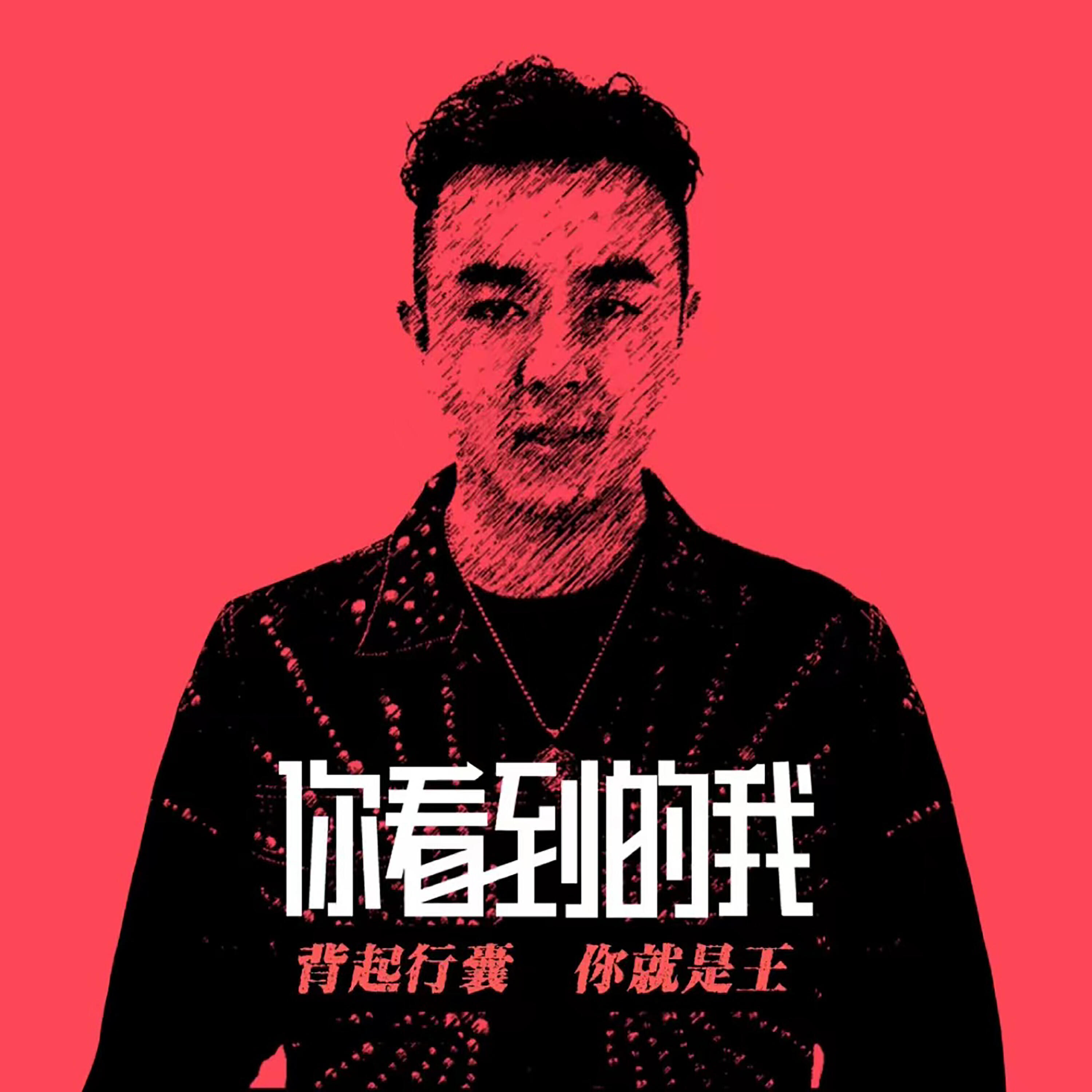 Релиз 你看到的我