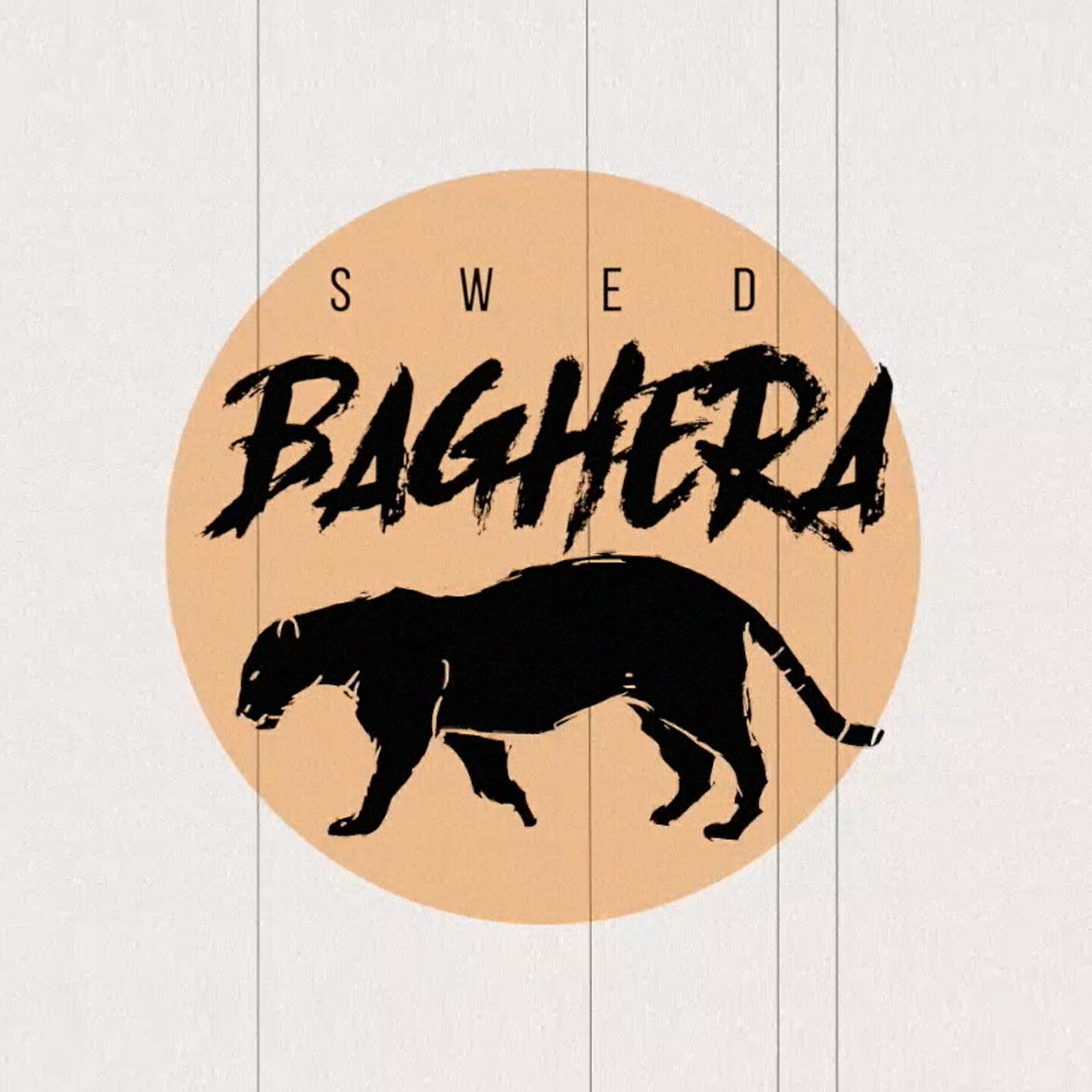 Релиз Baghera