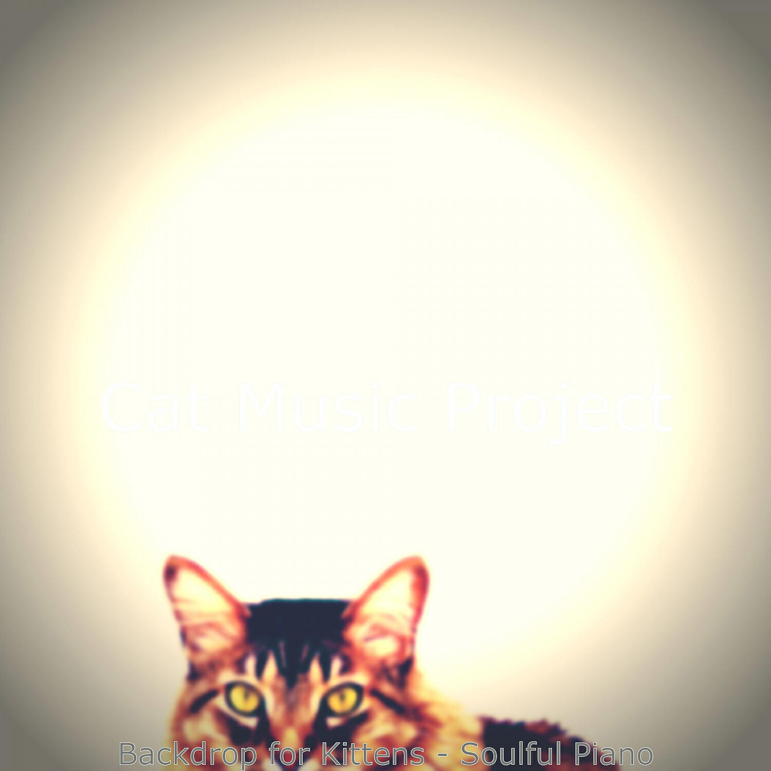 Релиз Backdrop for Kittens - Soulful Piano