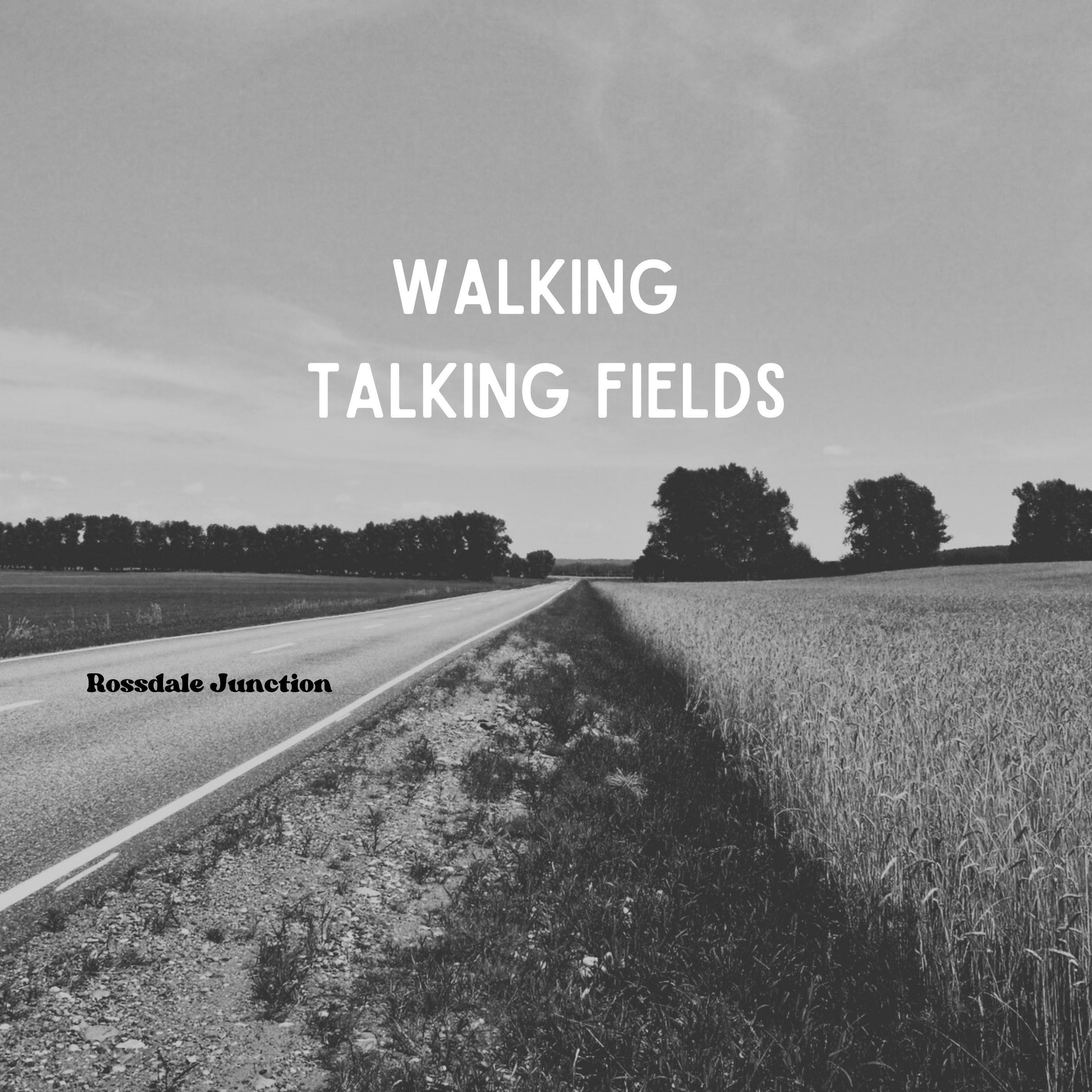 Релиз Walking talking fields