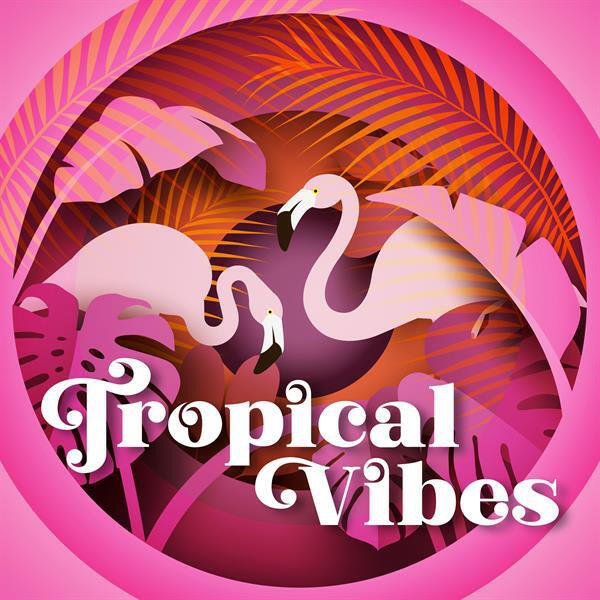 Постер альбома Tropical Vibes