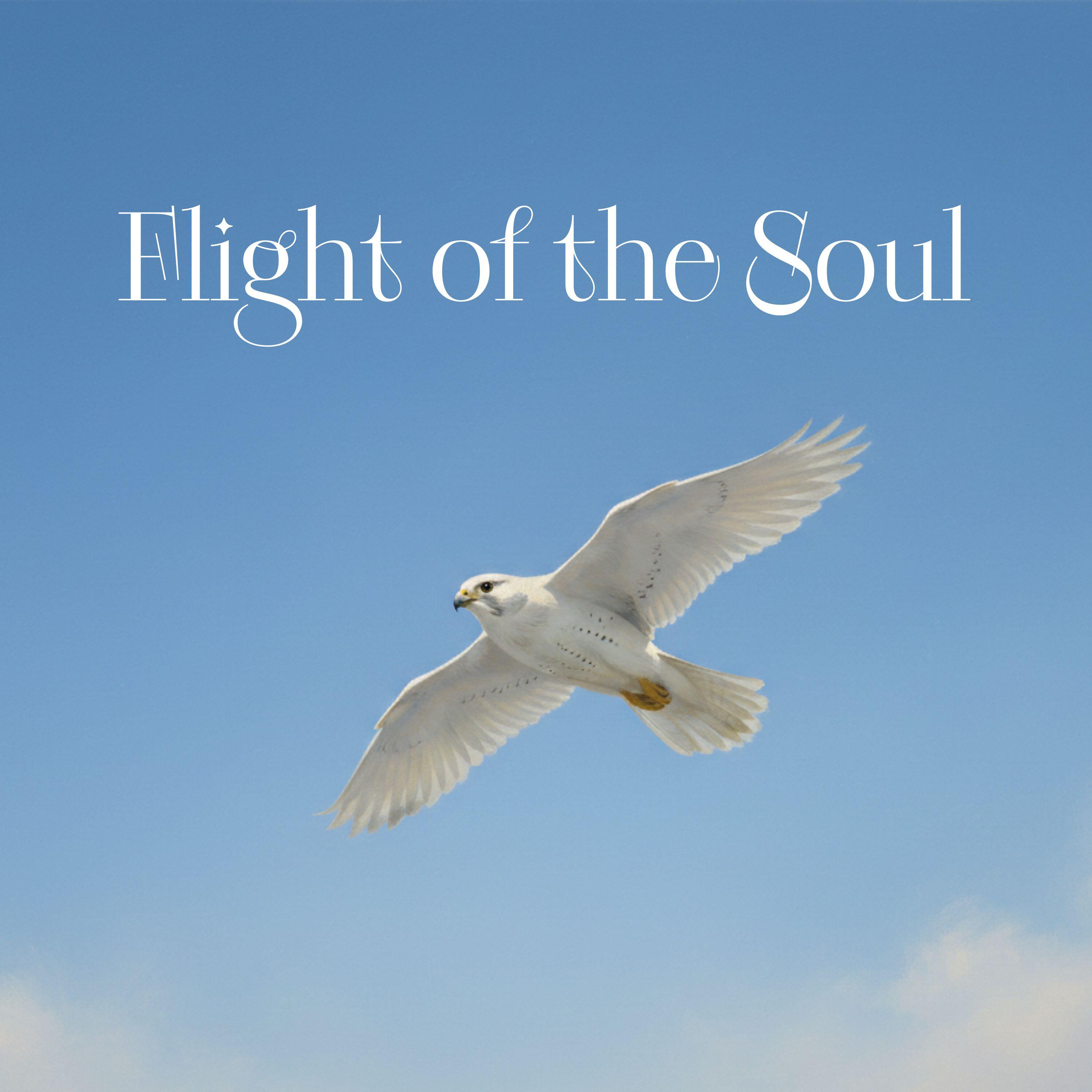 Релиз Flight of the Soul