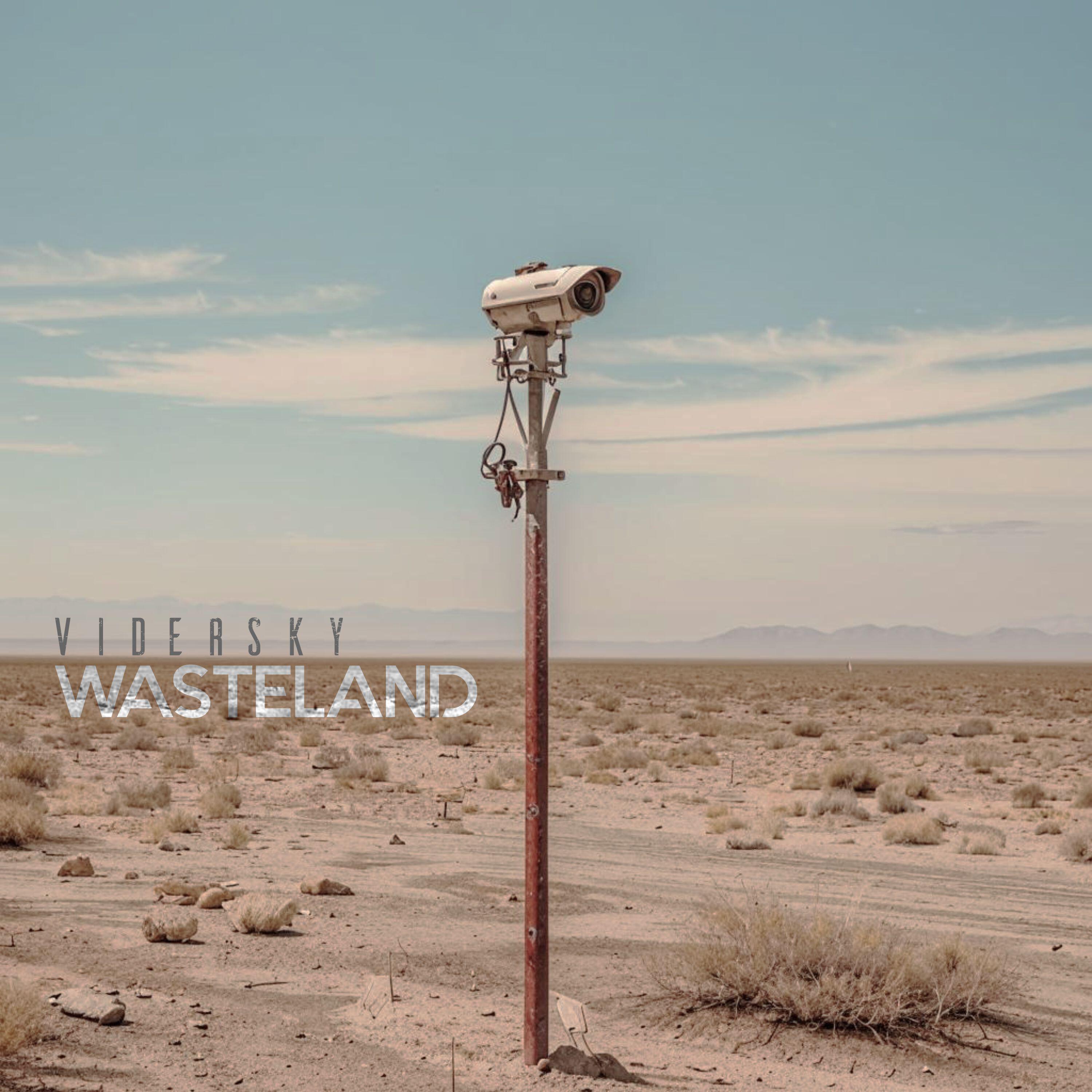 Релиз Wasteland