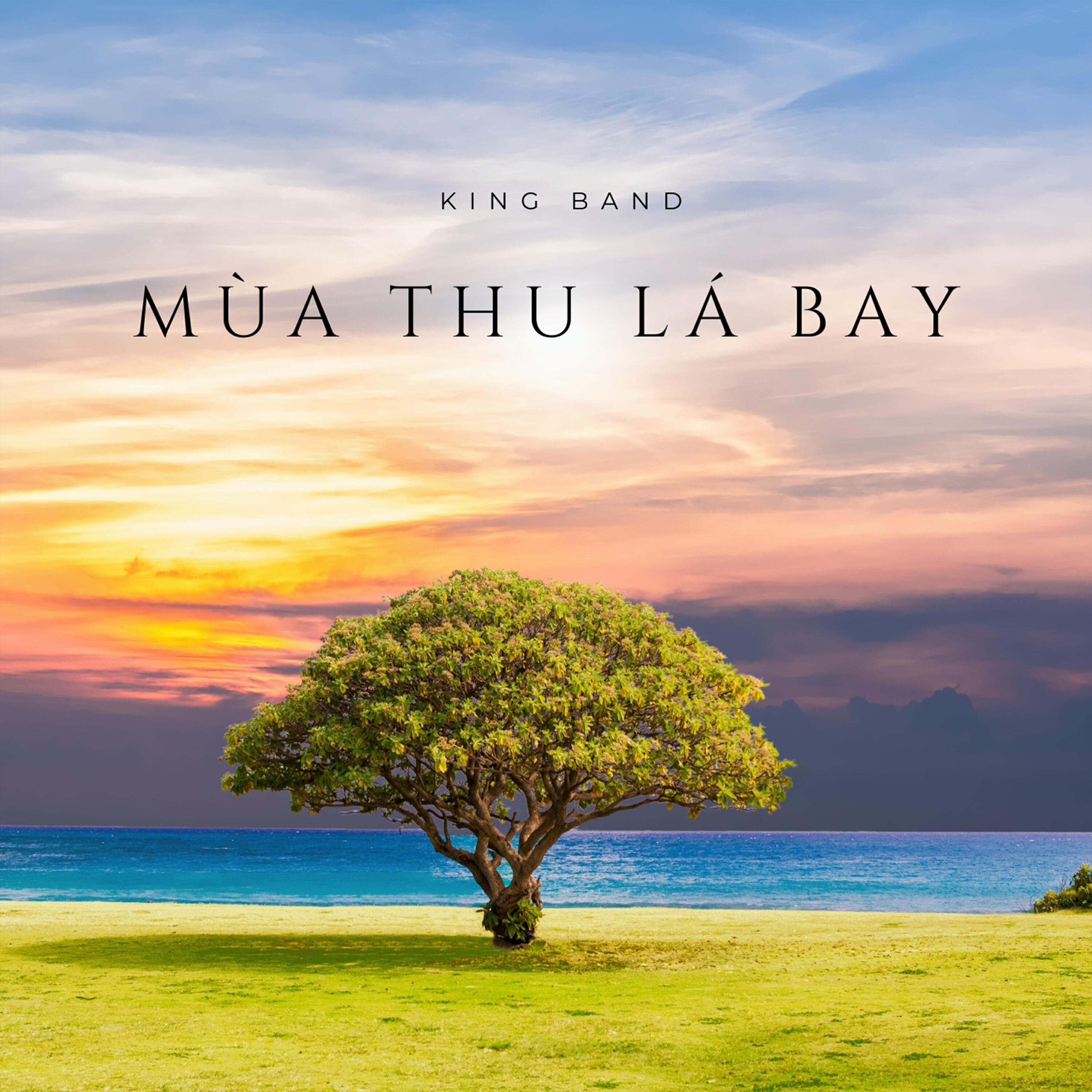 Релиз Mùa Thu Lá Bay