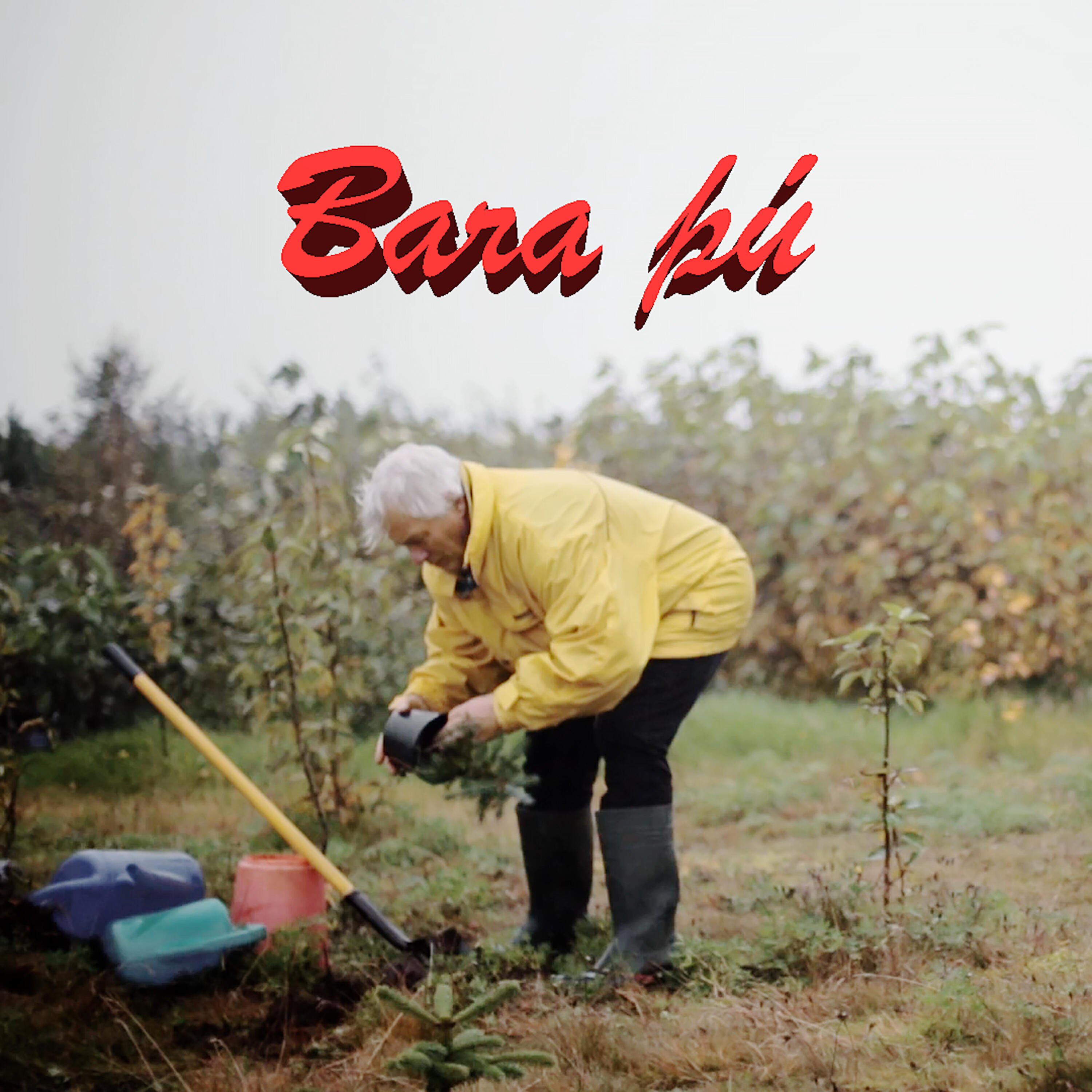 Релиз Bara Þú