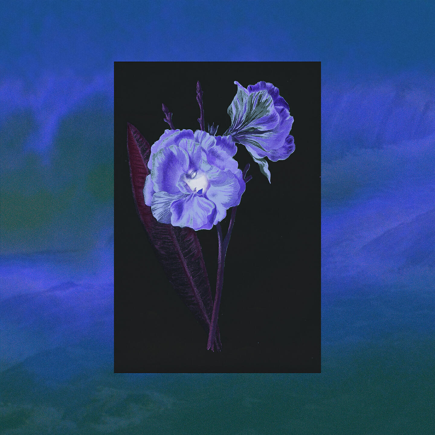 Релиз The Voice of Flowers