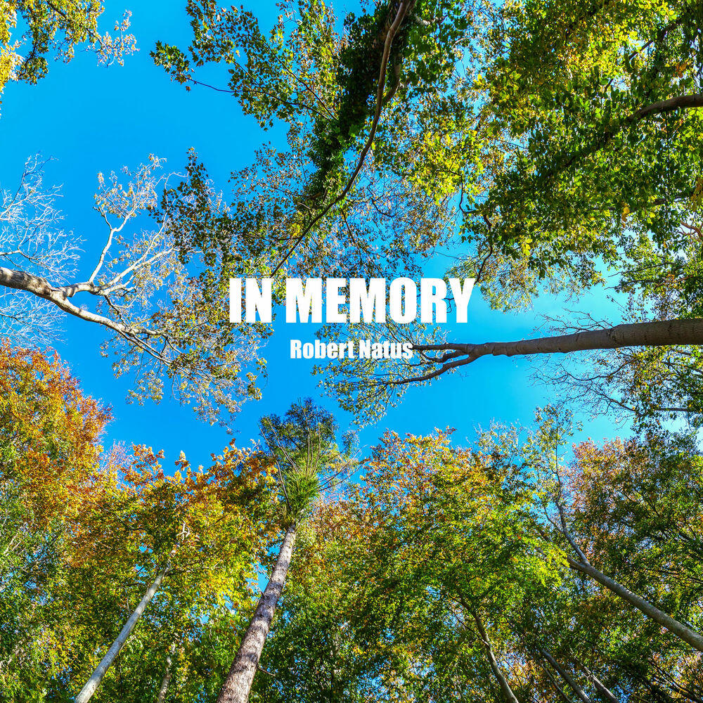 Релиз In Memory