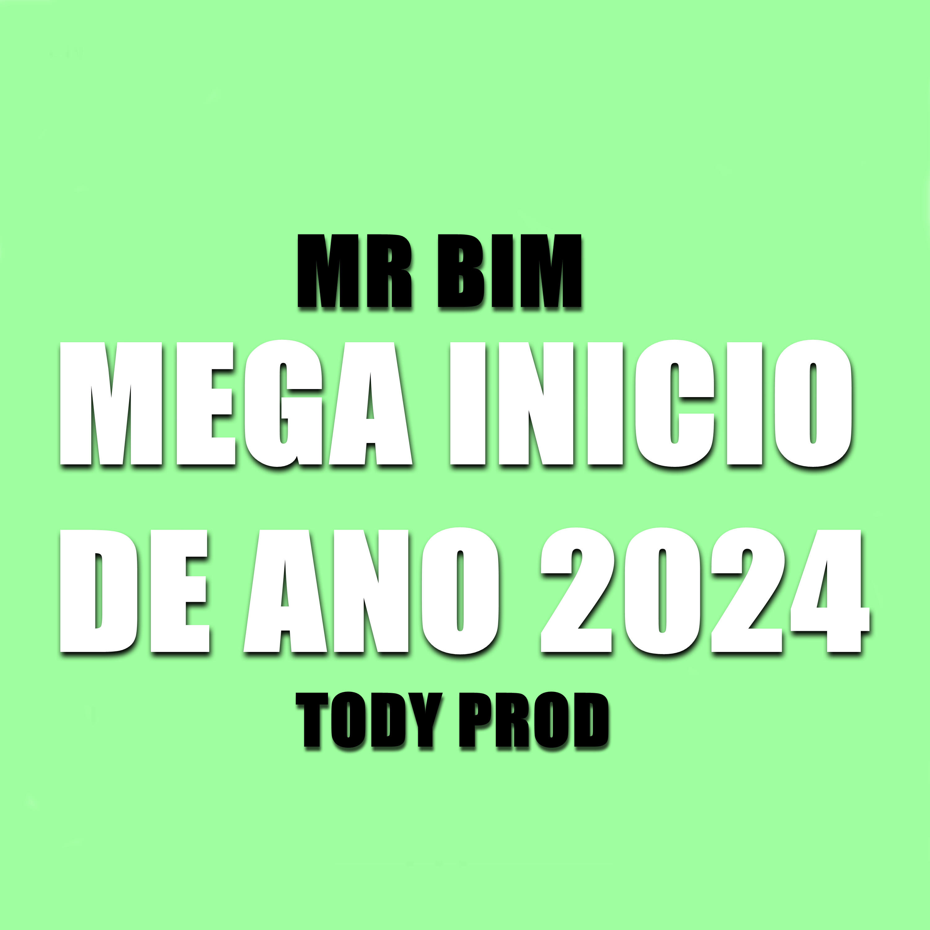 Скачать песню Tody prod, Mr Bim - Mega Inicio de Ano 2024 бесплатно в MP3 для Android и iOS