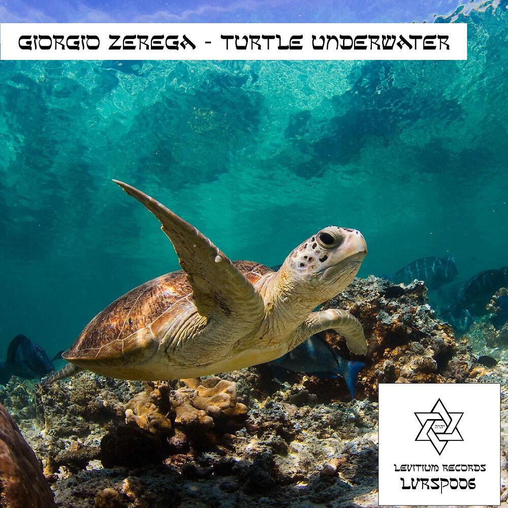 Релиз Turtle Underwater