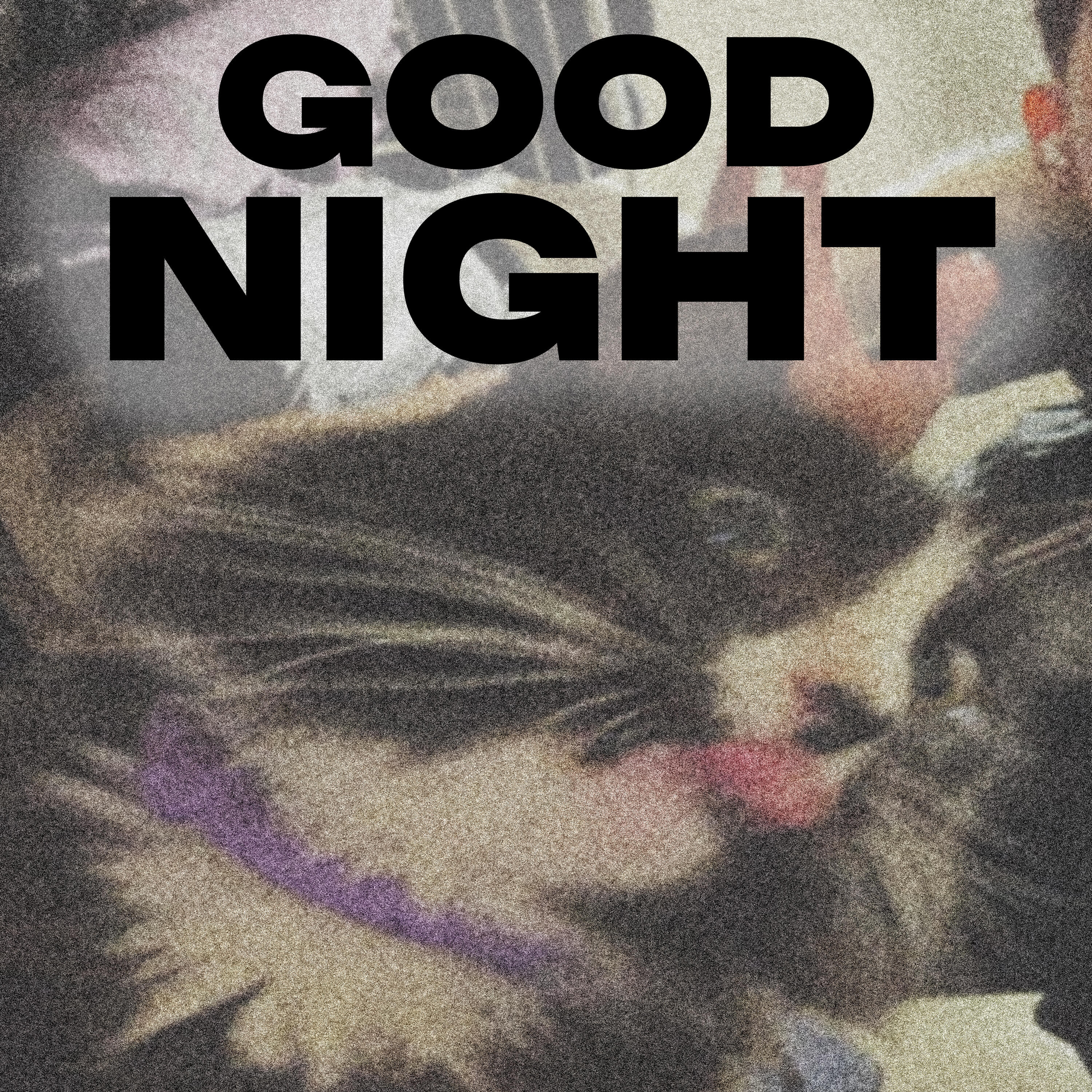 Релиз Good night