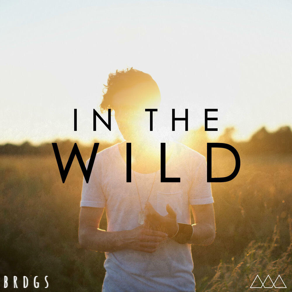 Релиз In the Wild