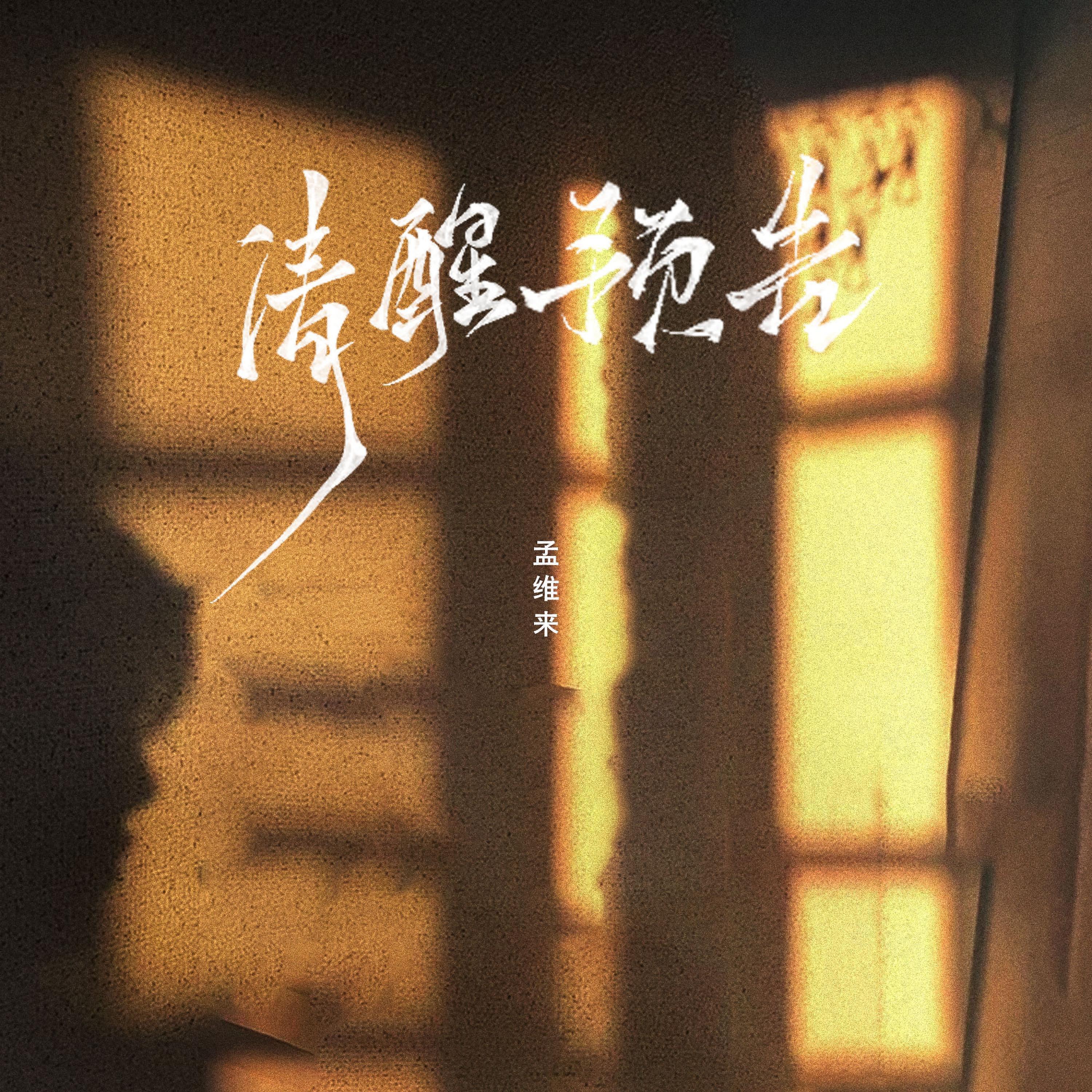 Релиз 清醒预告