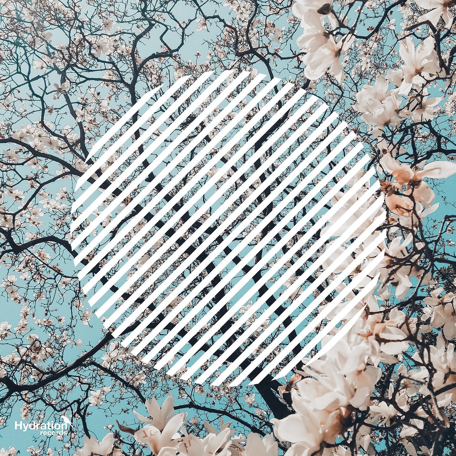Релиз Spring Steps