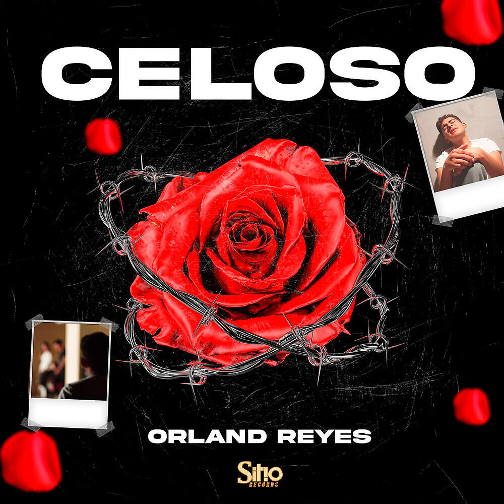 Релиз Celoso