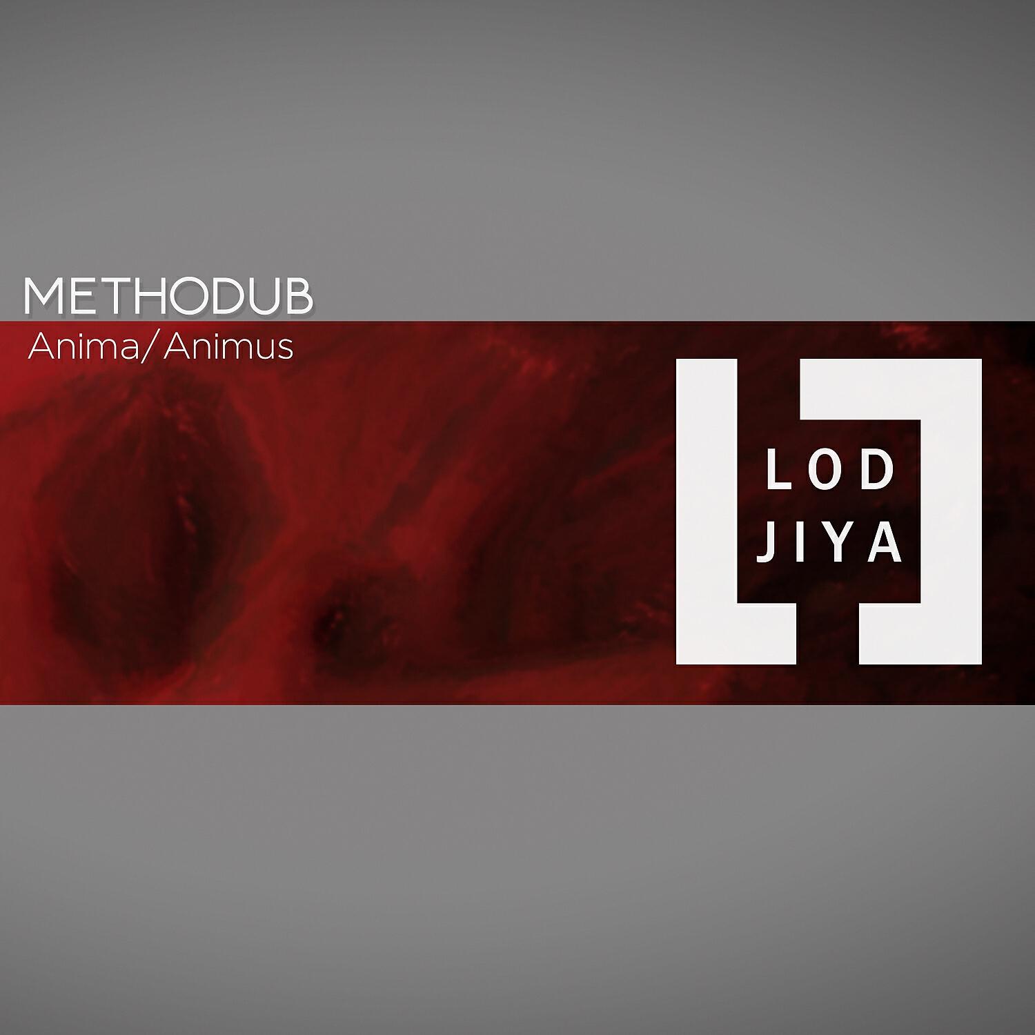 Релиз Anima\animus