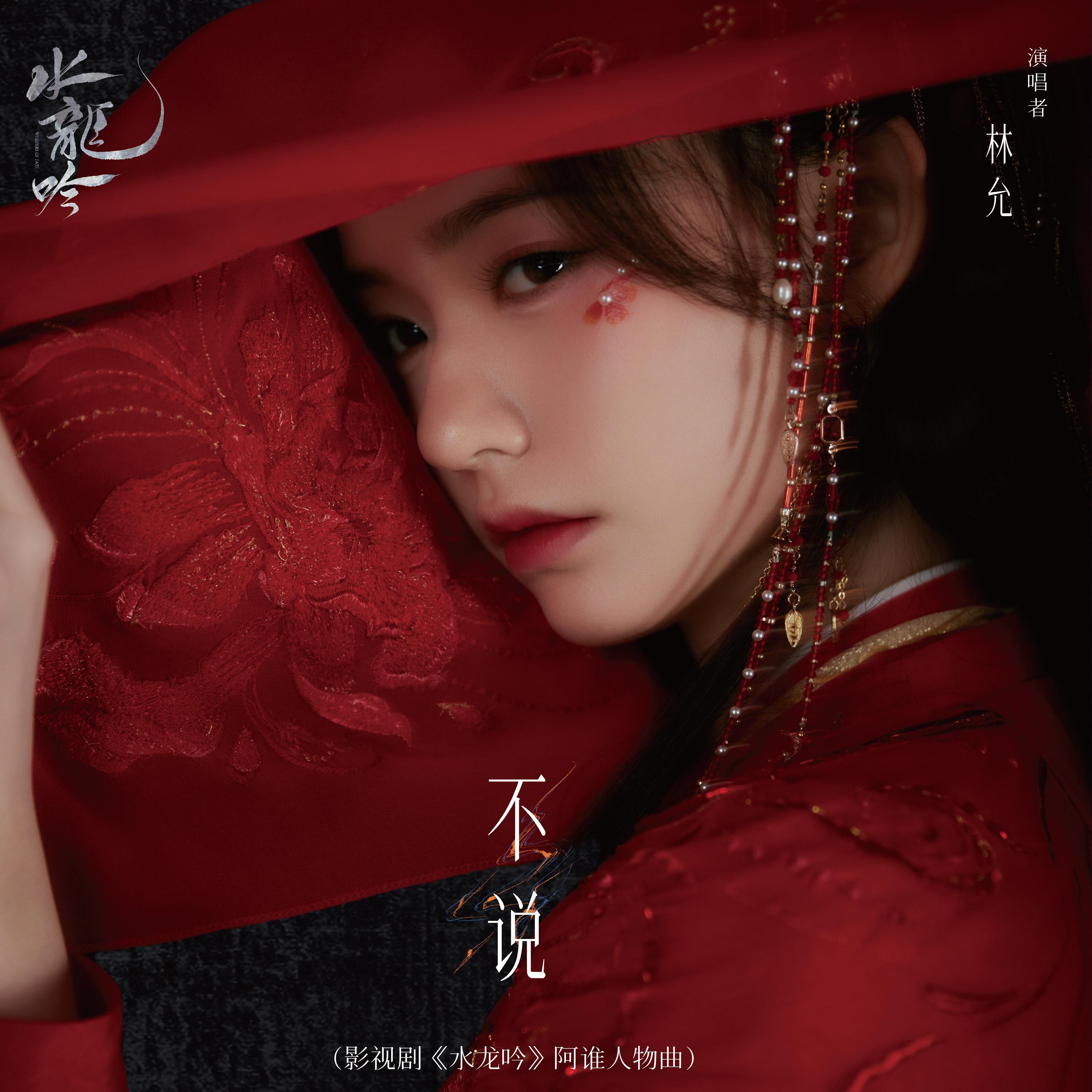 Релиз 不说（影视剧《水龙吟》阿谁人物曲）