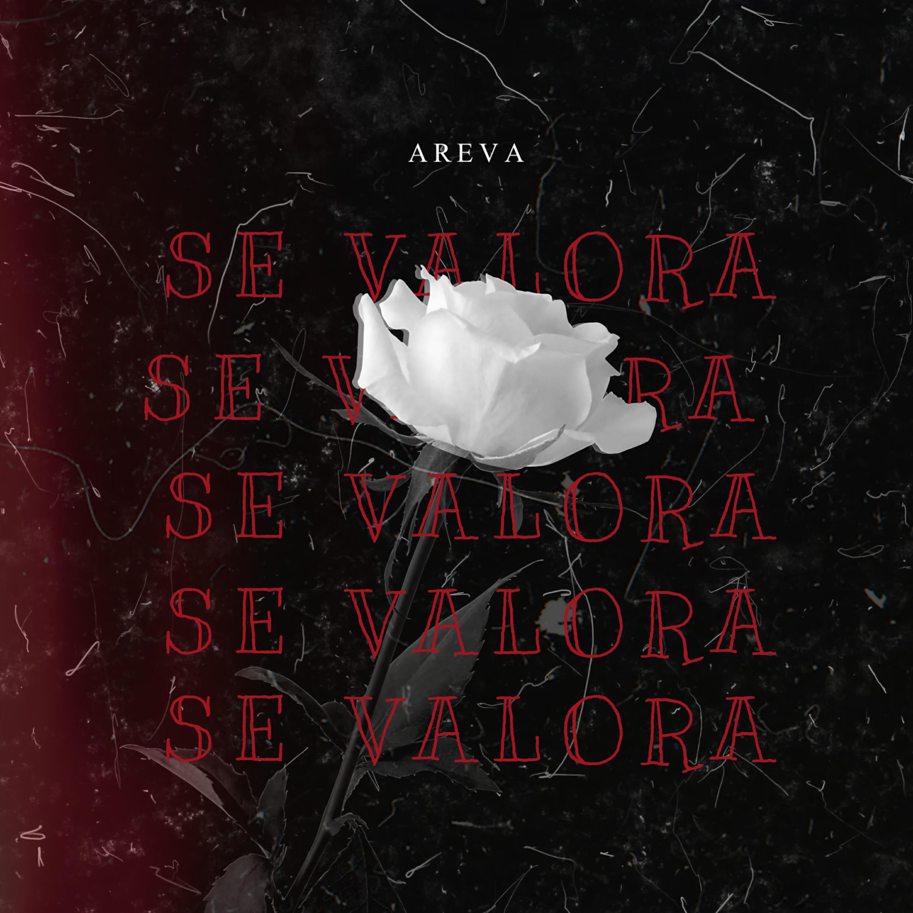 Релиз Se Valora