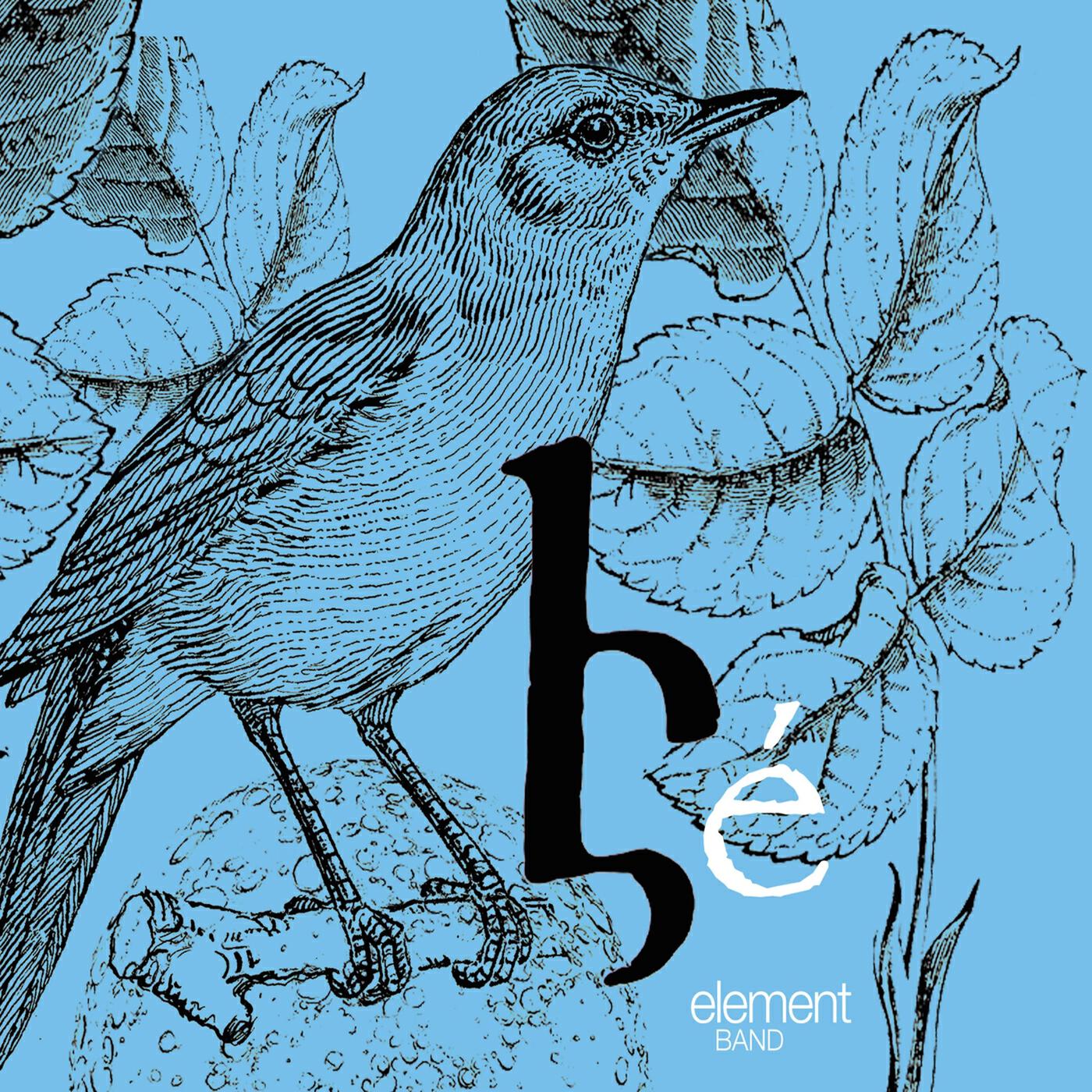 Element Band