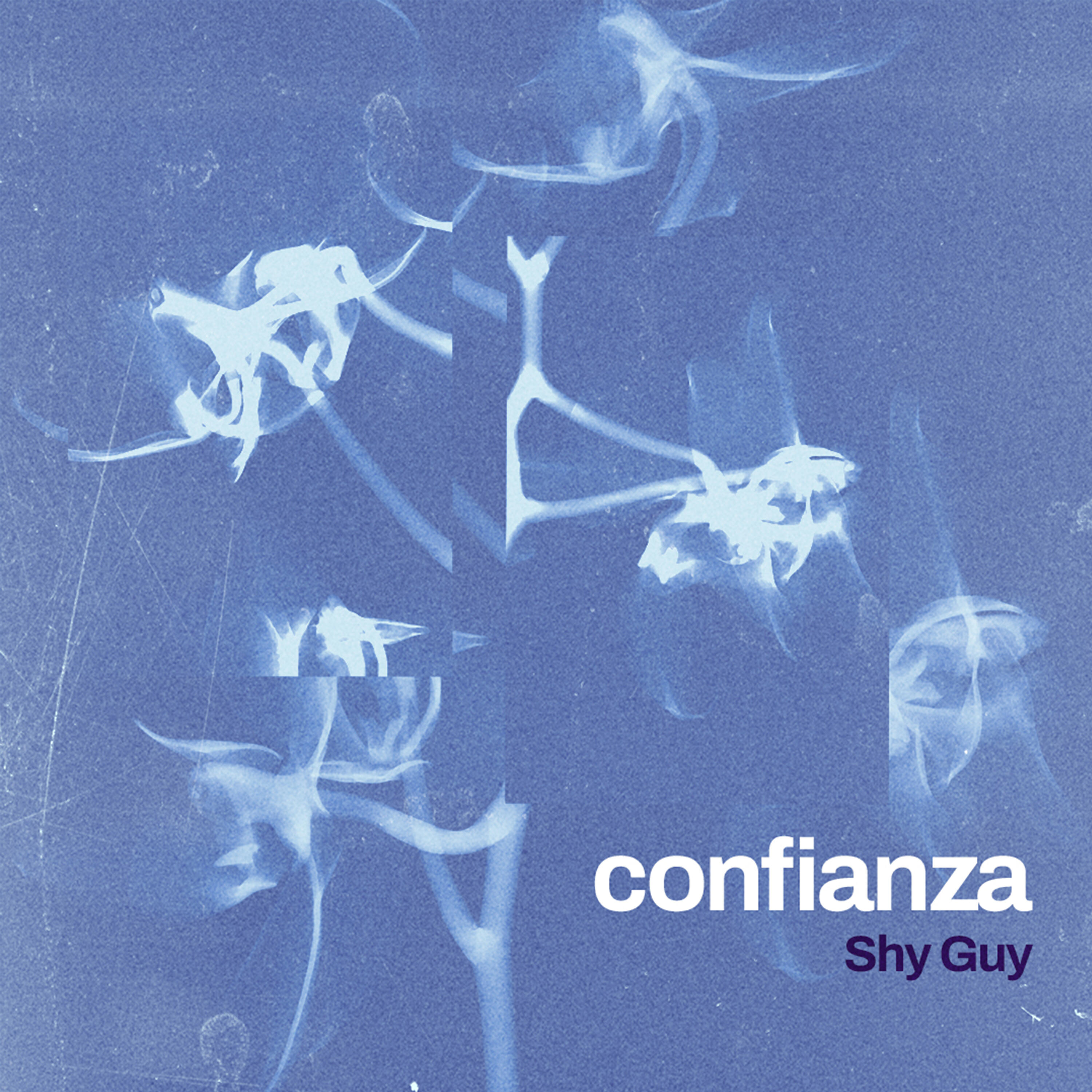 Релиз Confianza
