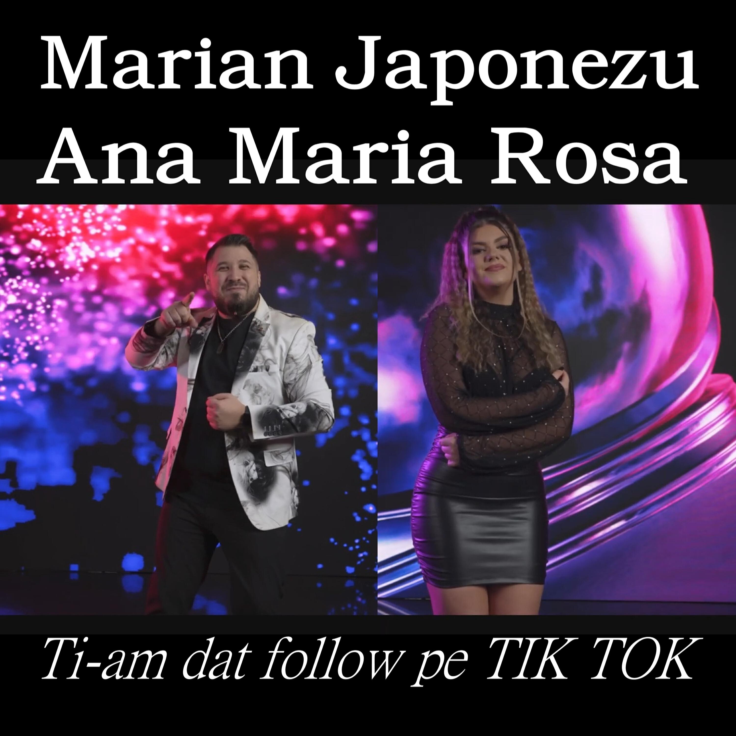 Релиз Ti-am dat follow pe Tik Tok