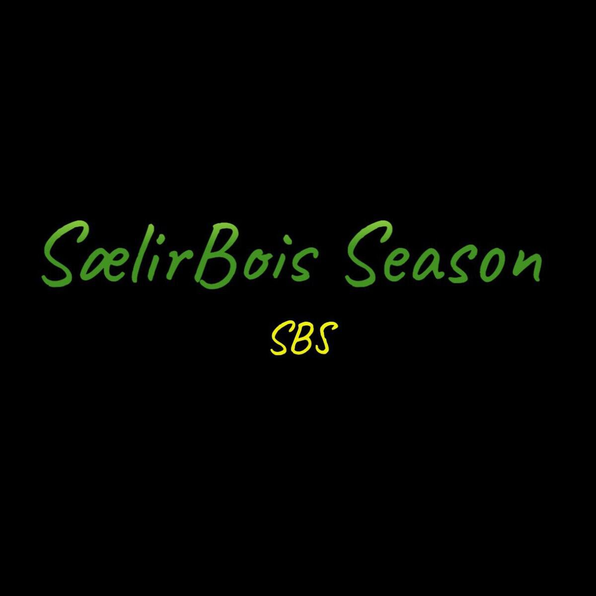 Релиз SælirBois Season