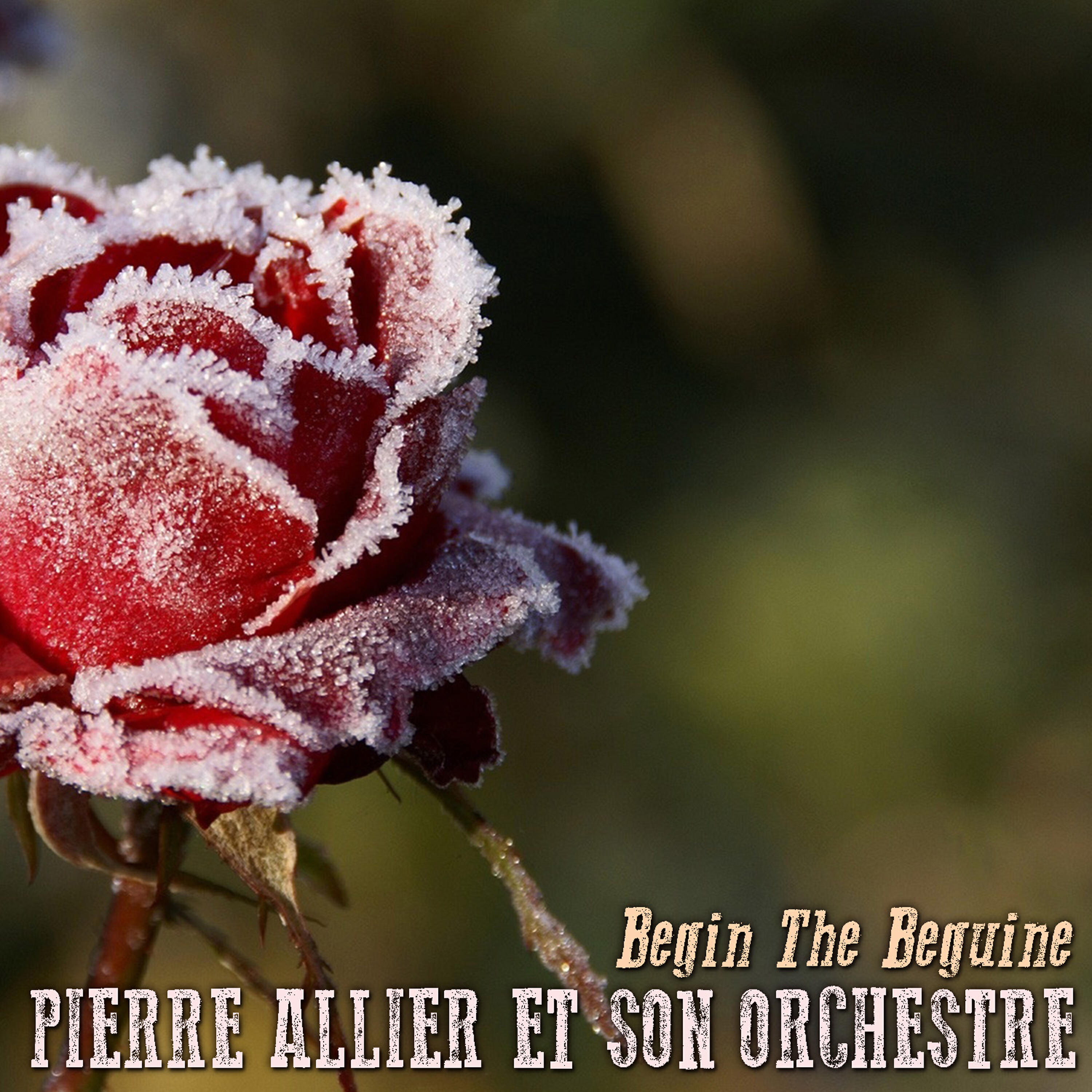 Релиз Begin the Beguine