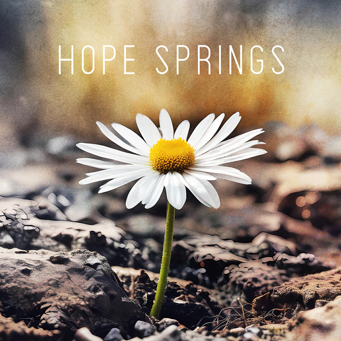 Релиз Hope Springs