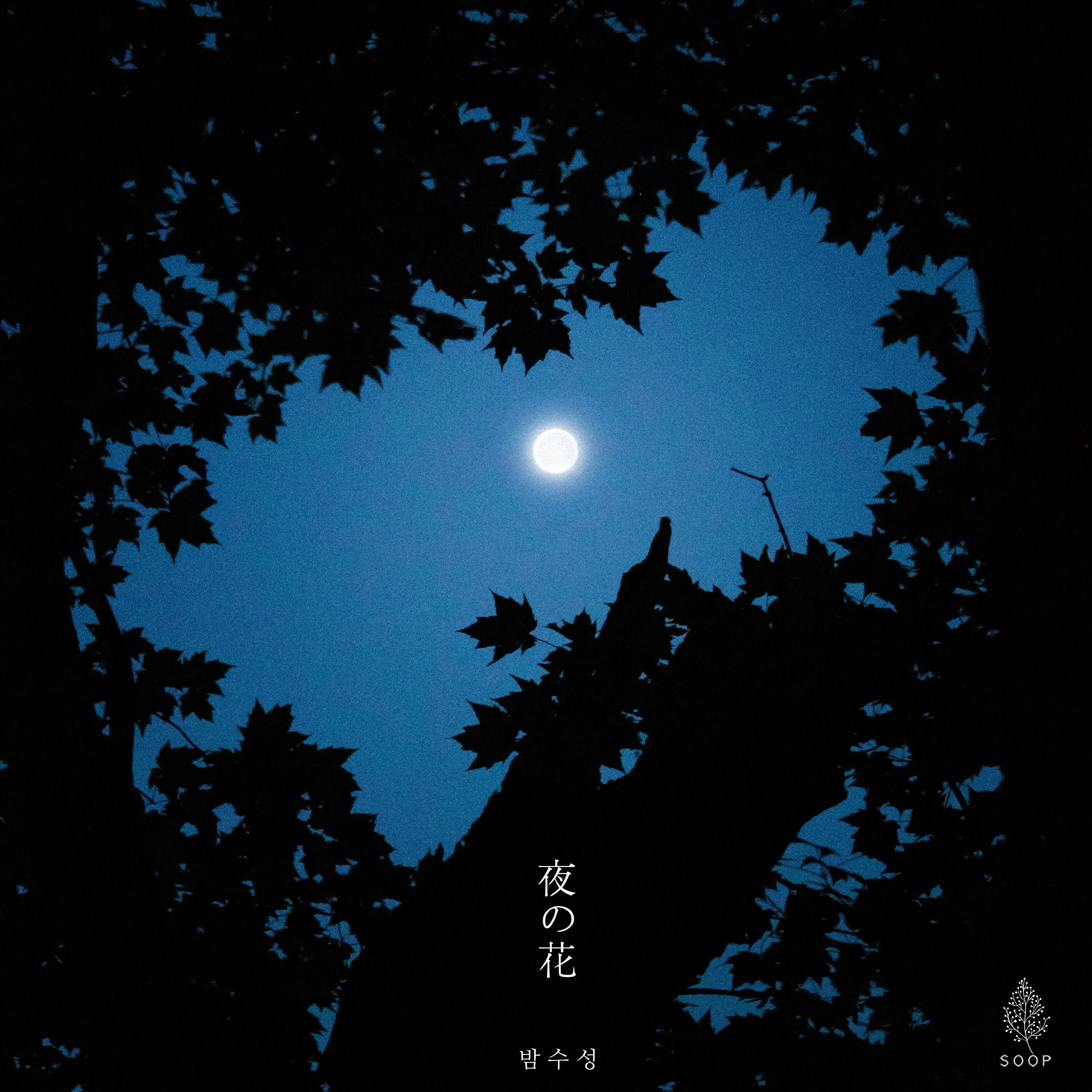 Релиз Flowers Of The Night (夜の花)