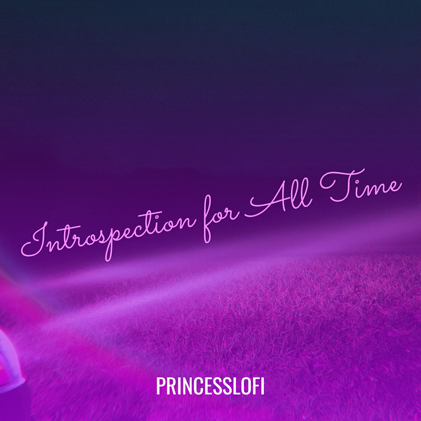 PrincessLofi