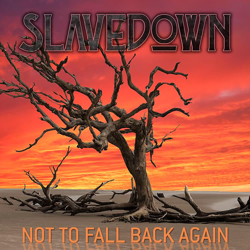 Релиз Not to Fall Back Again