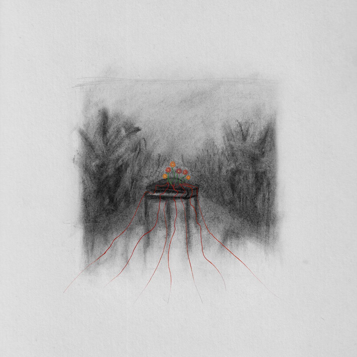 Релиз the last laugh