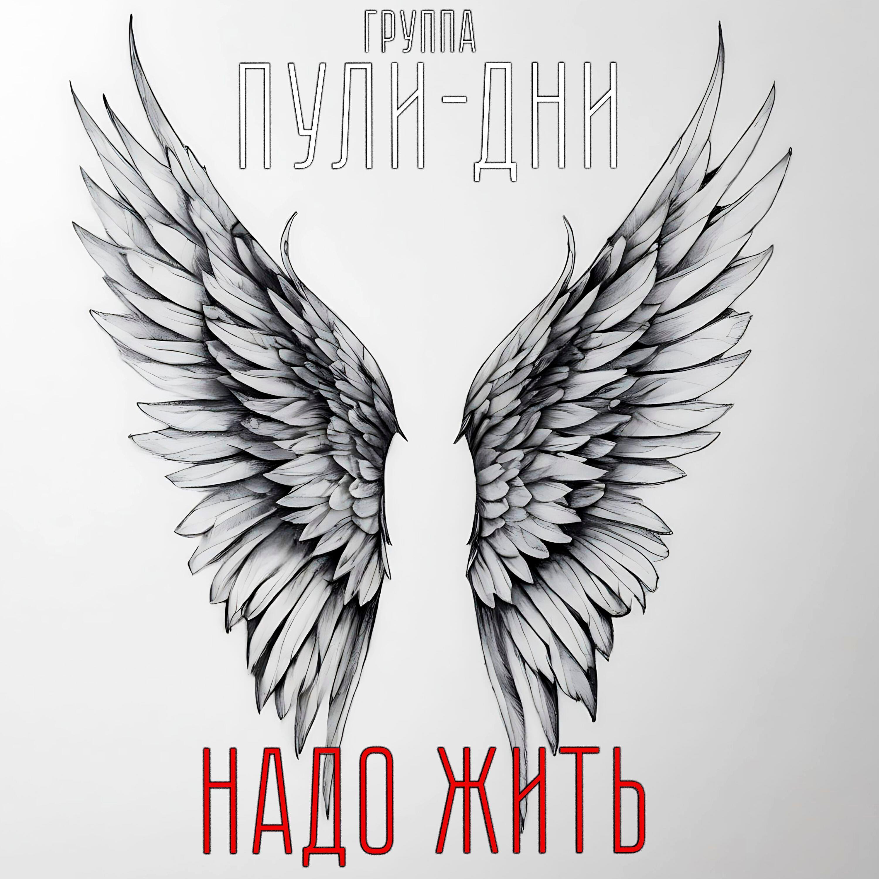 Группа Пули-Дни
