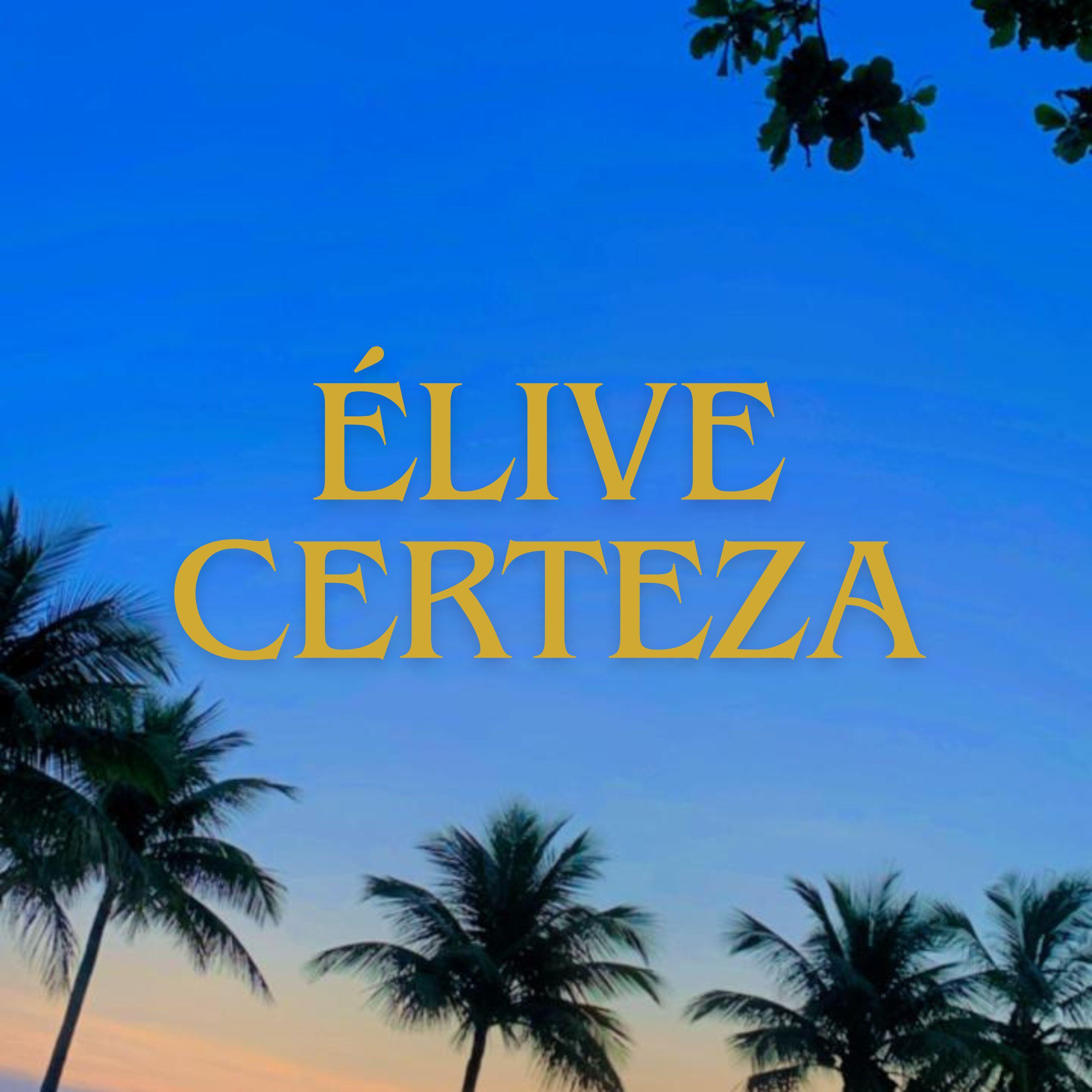 Релиз Certeza