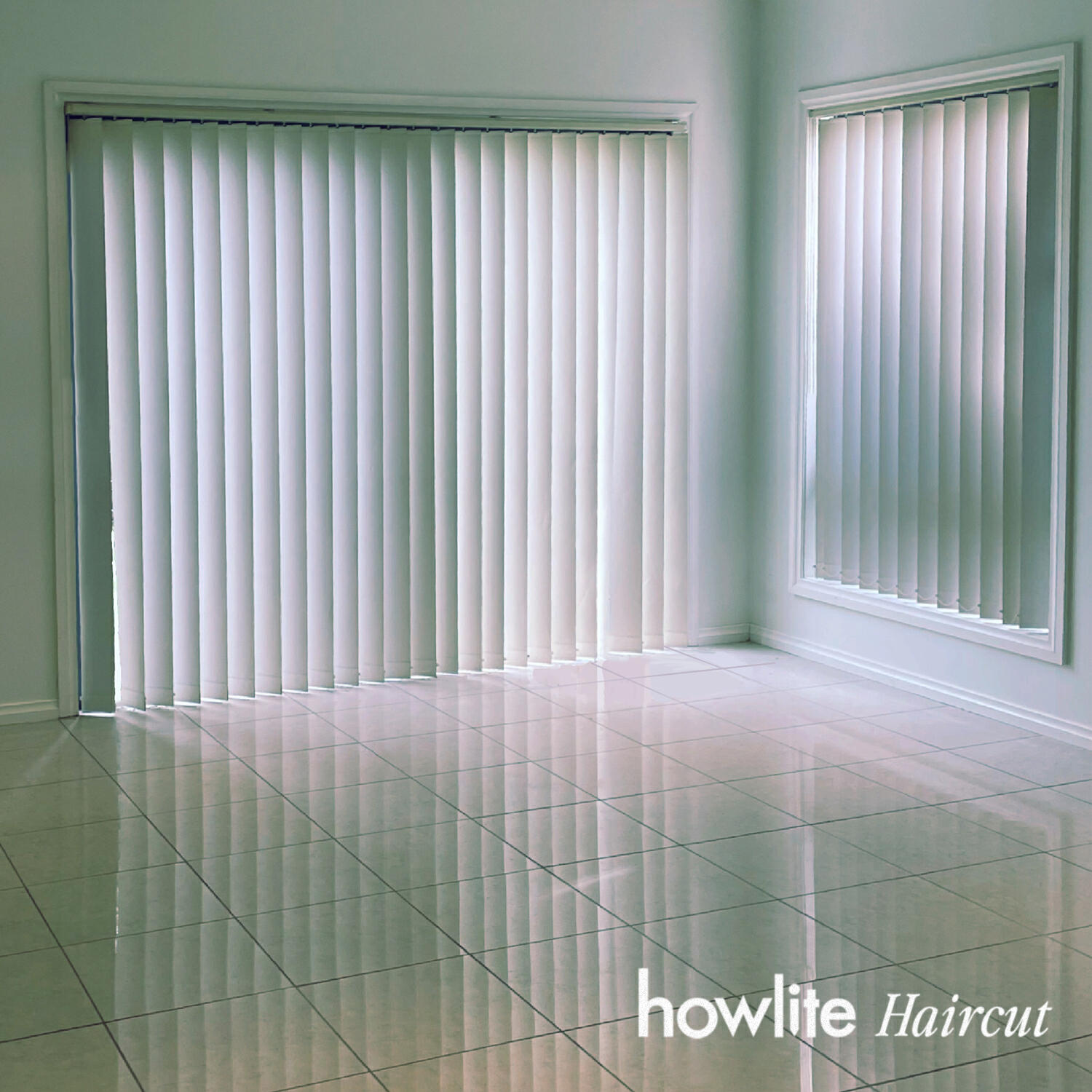 Howlite