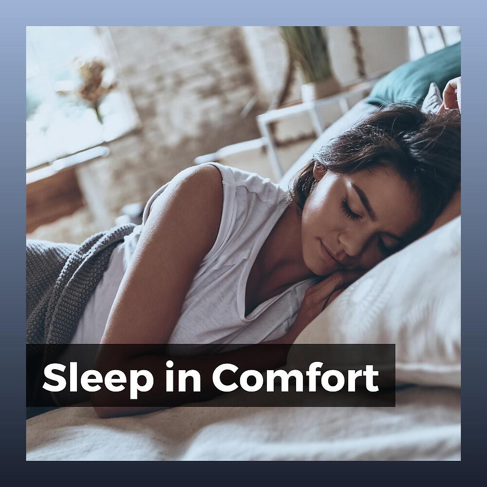Релиз Sleep in Comfort