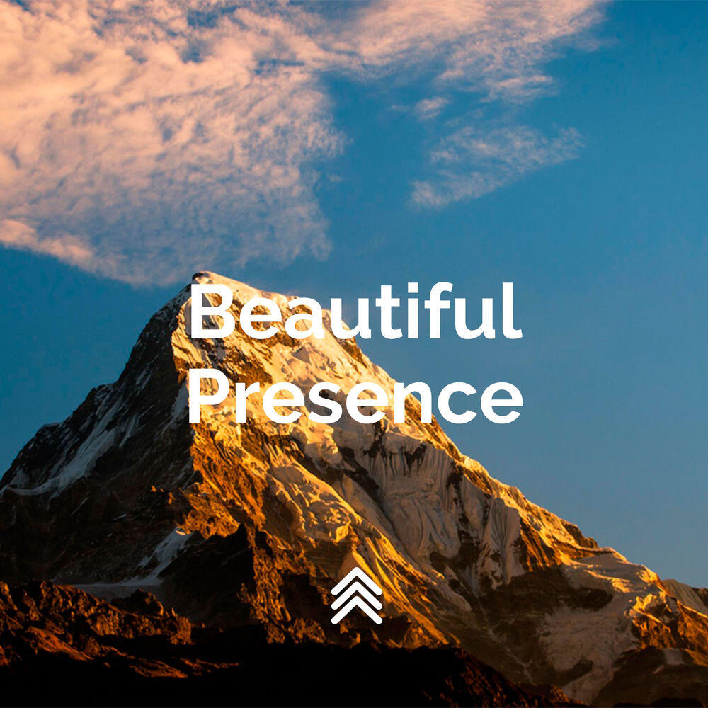 Релиз Beautiful Presence (Instrumental)