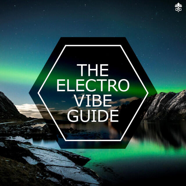 Релиз The Electro Vibe Guide