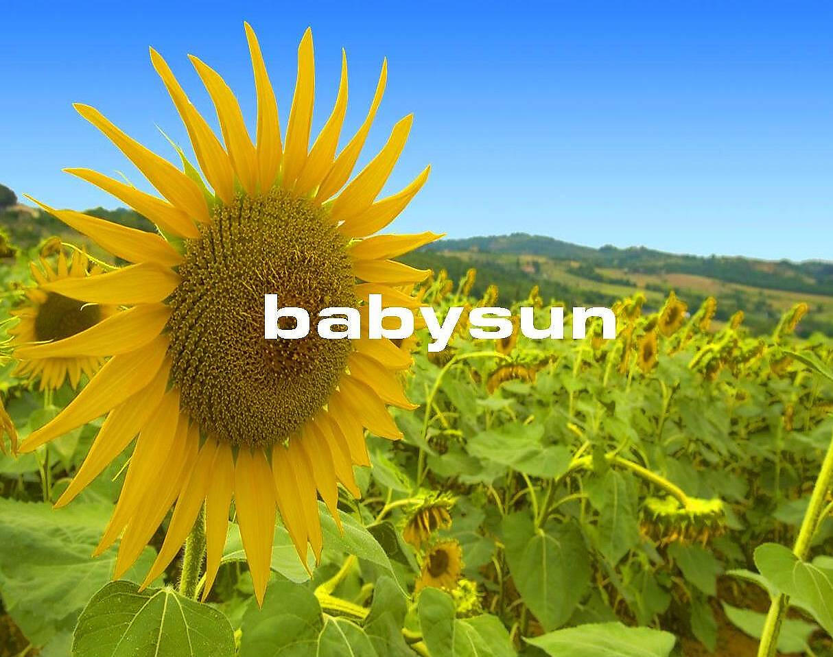 Babysun